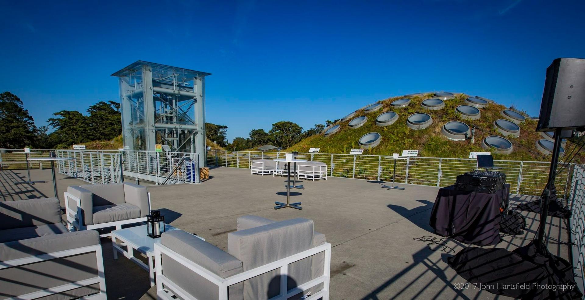 Living Roof