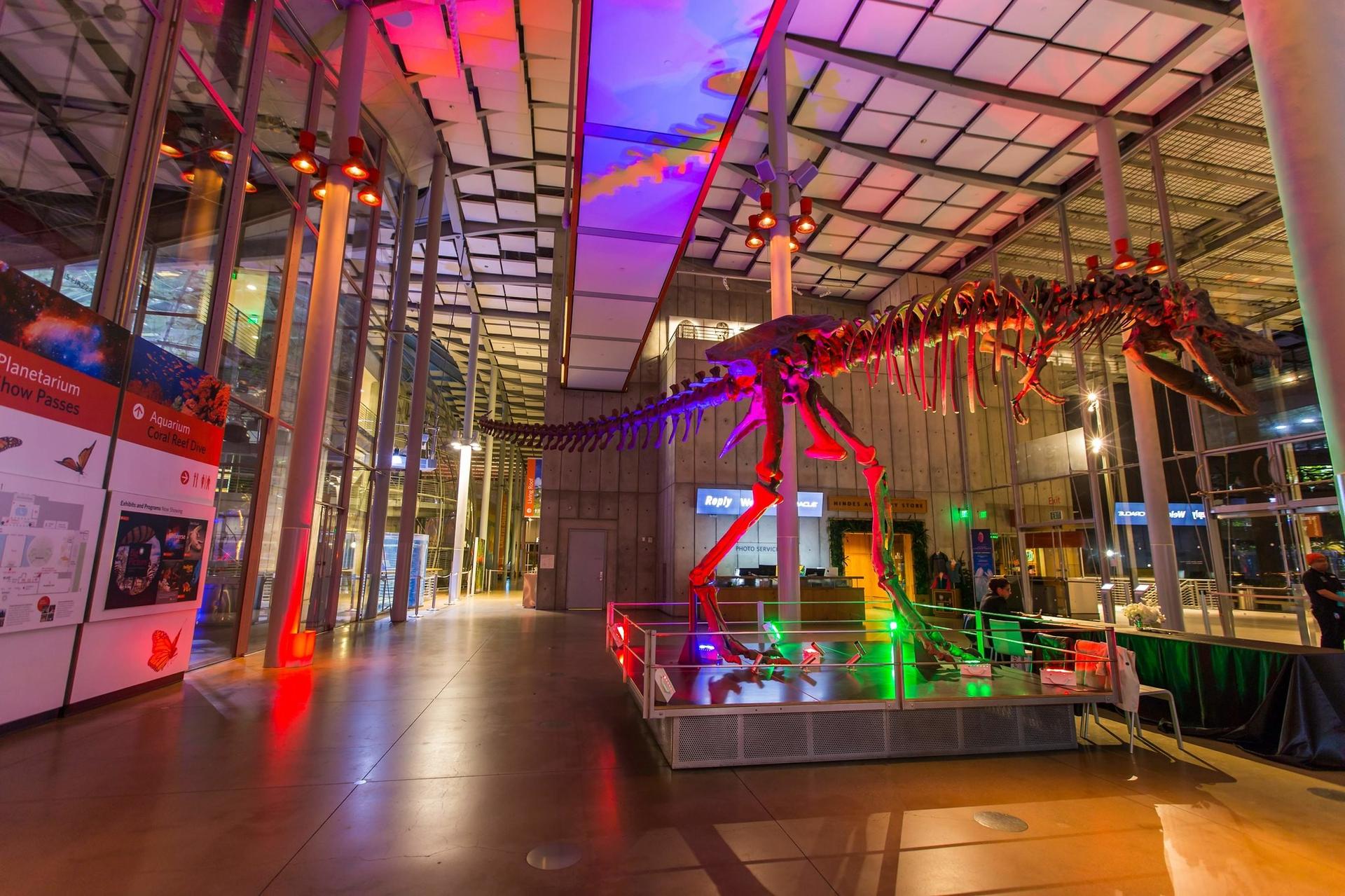 Main Lobby