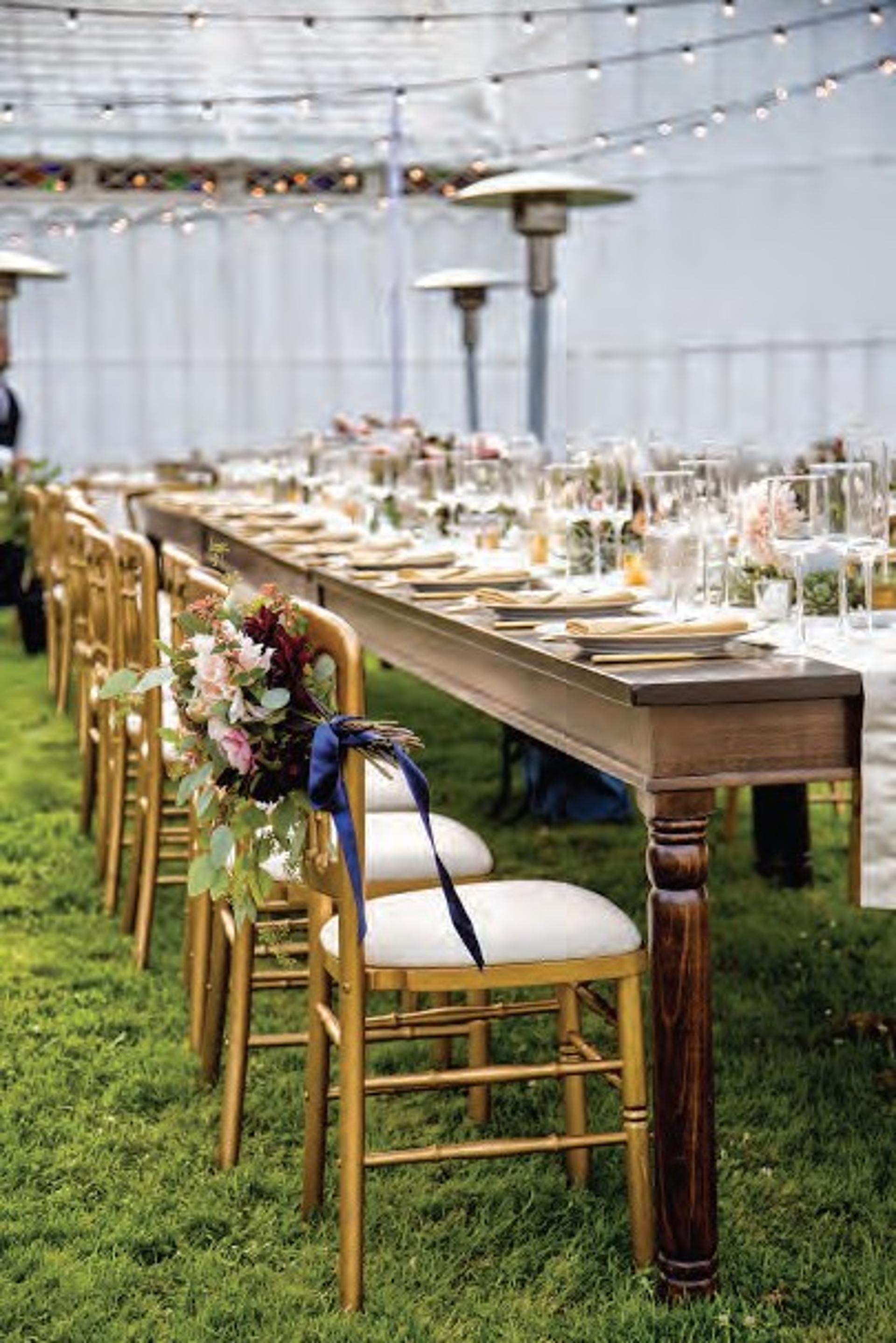 Terrace Lawns