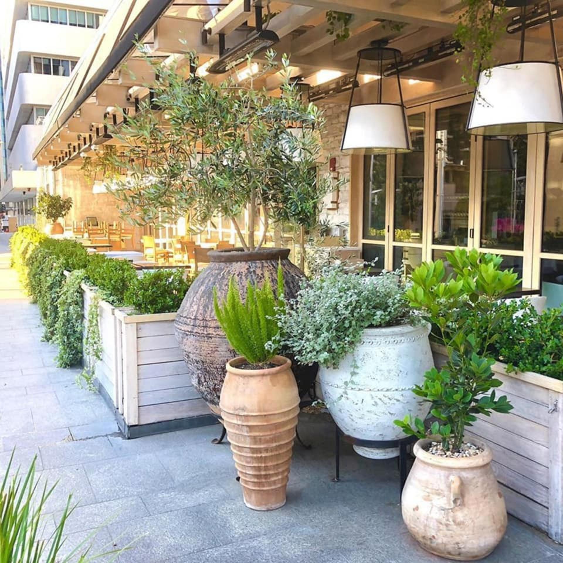 North Terrace
