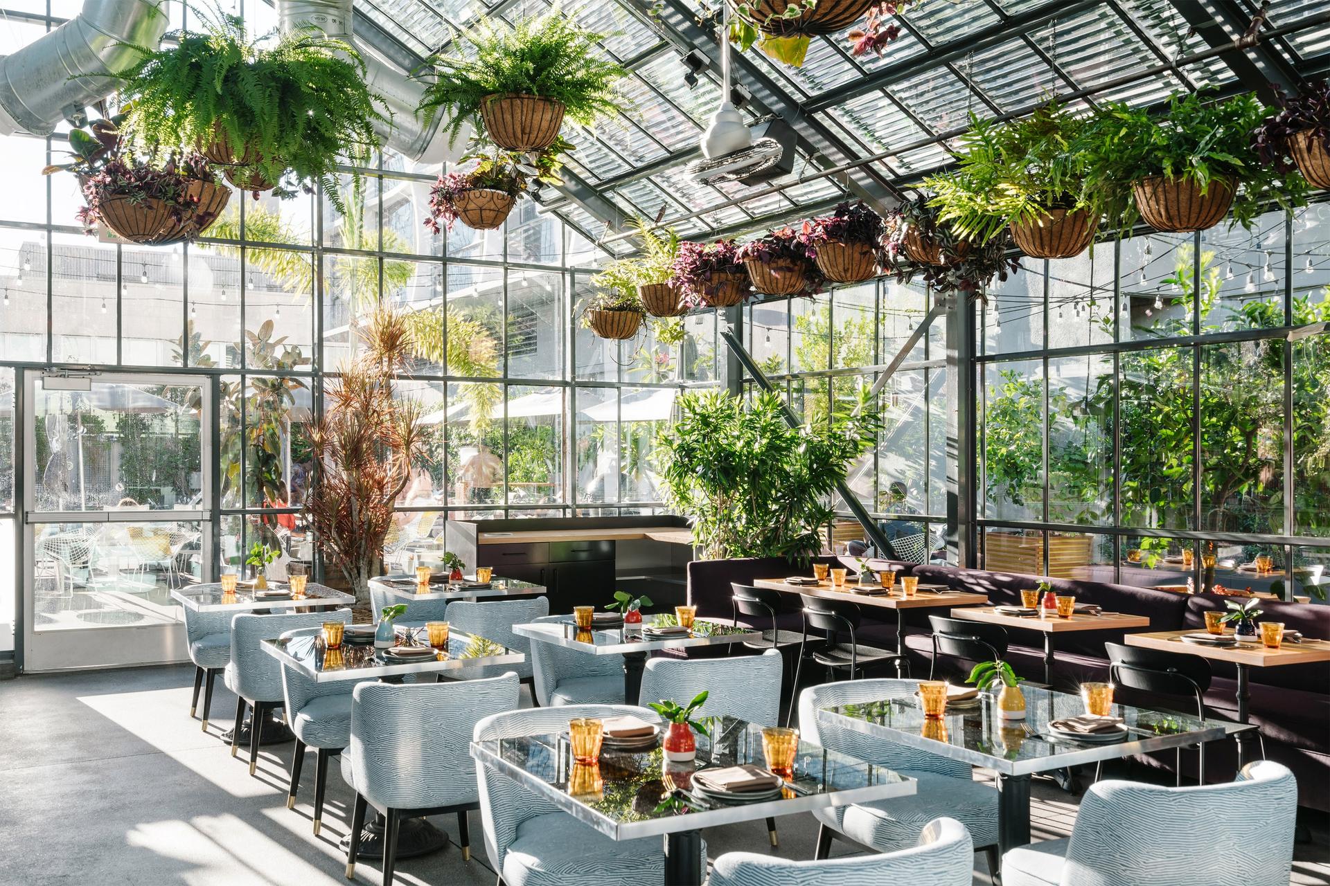 Full Restaurant Buyout