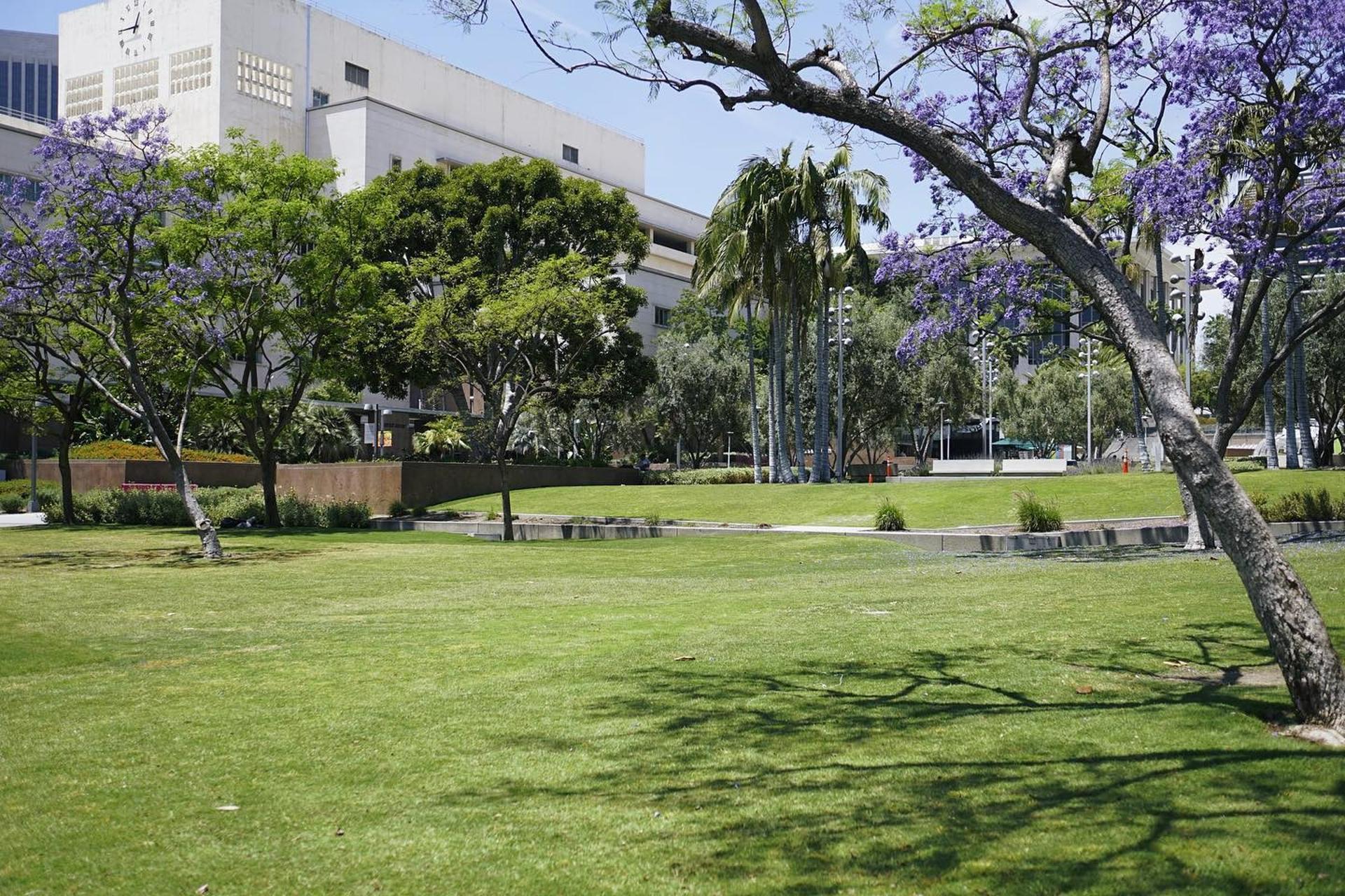 Performance Lawn