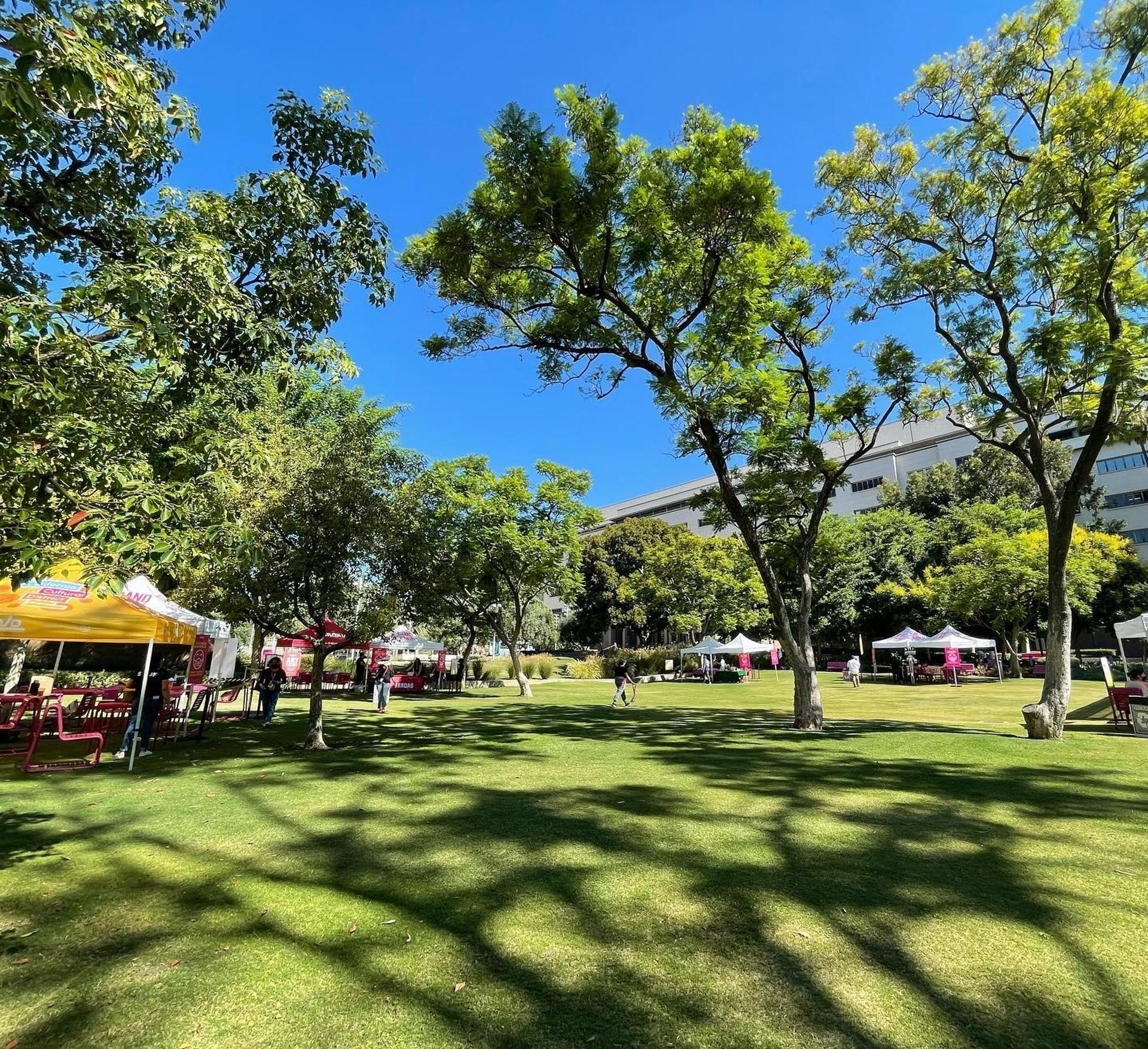 Event Lawn