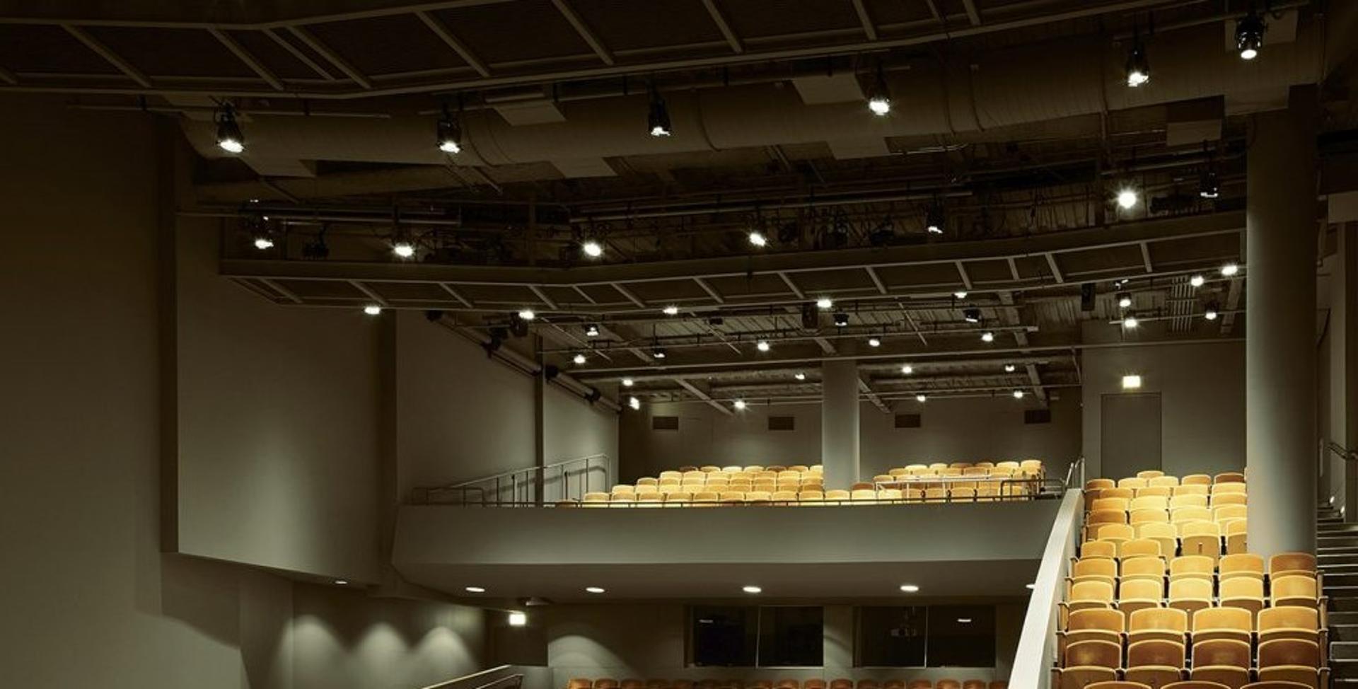 Feinberg Theater (Balcony)