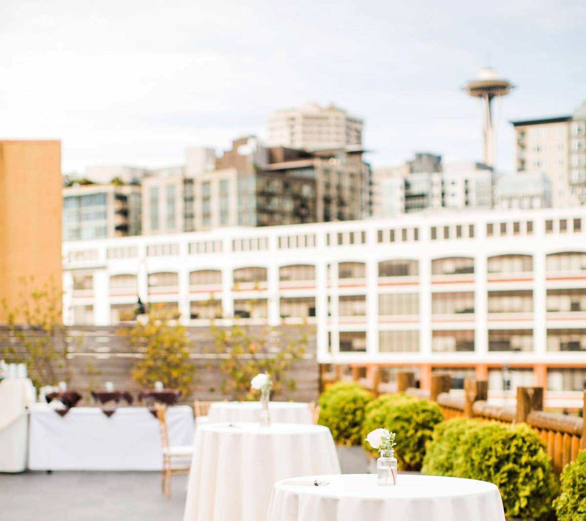 Outdoor Terrace + Deck