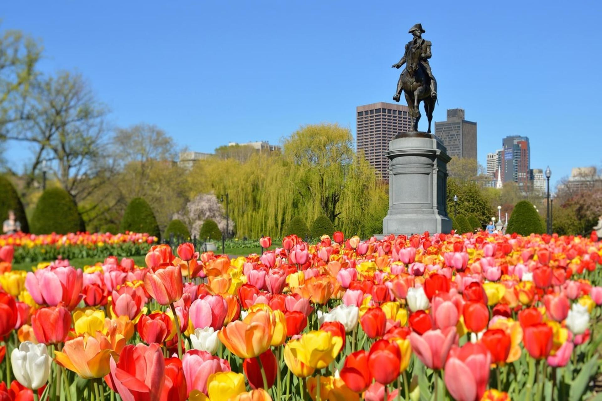 Public Garden