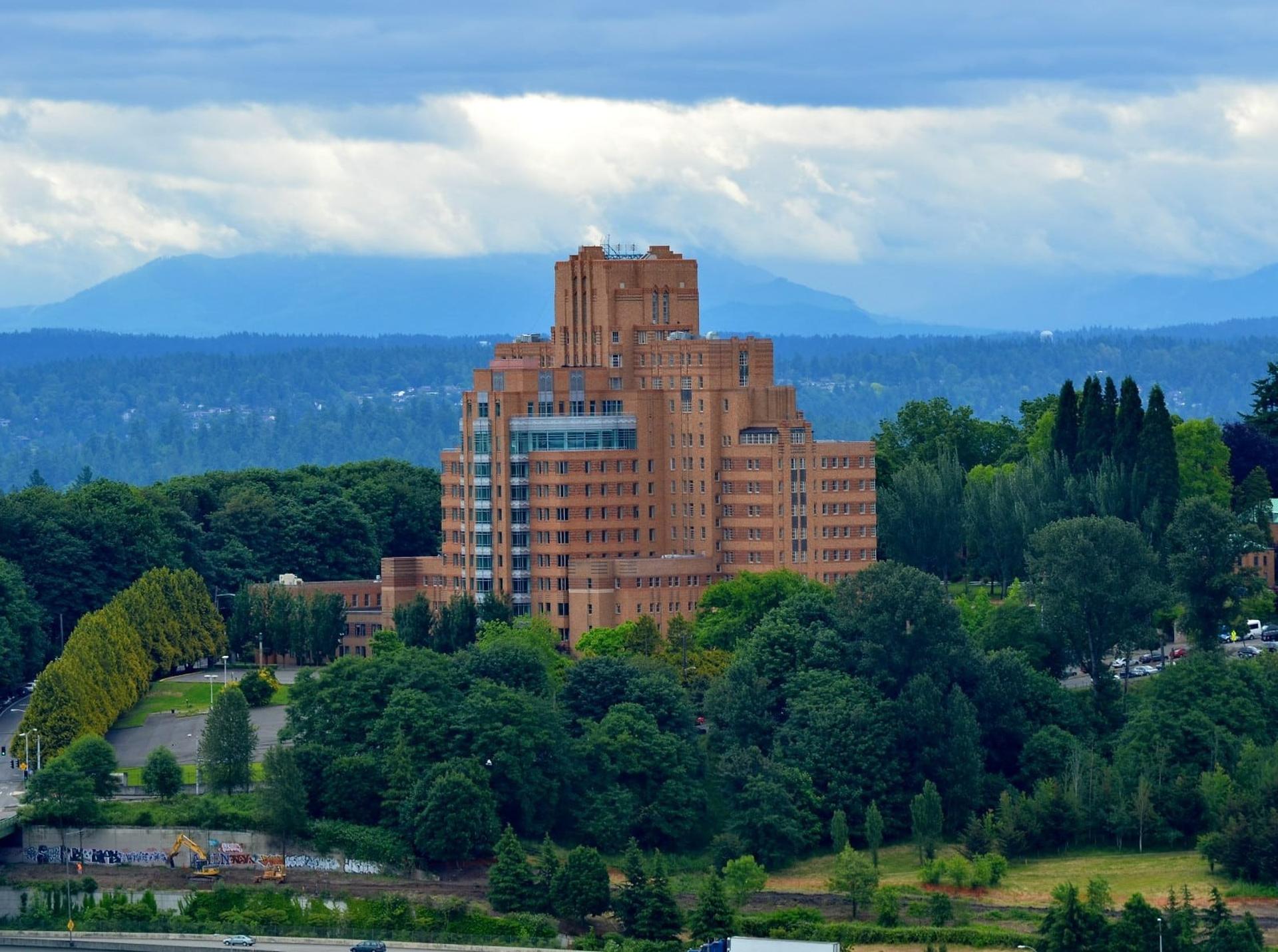 Panoramic Center