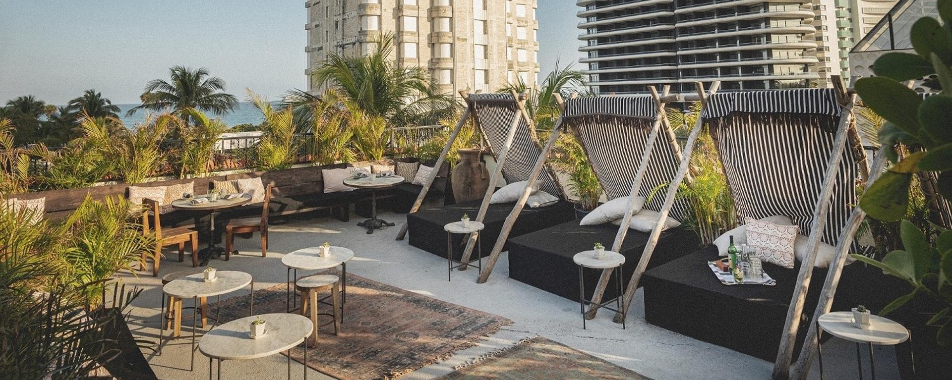 Jungle Rooftop
