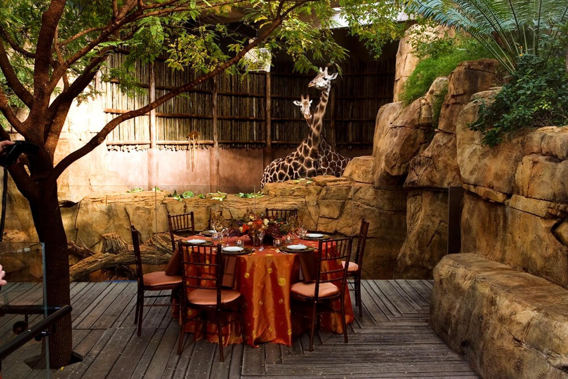 Regenstein African Journey