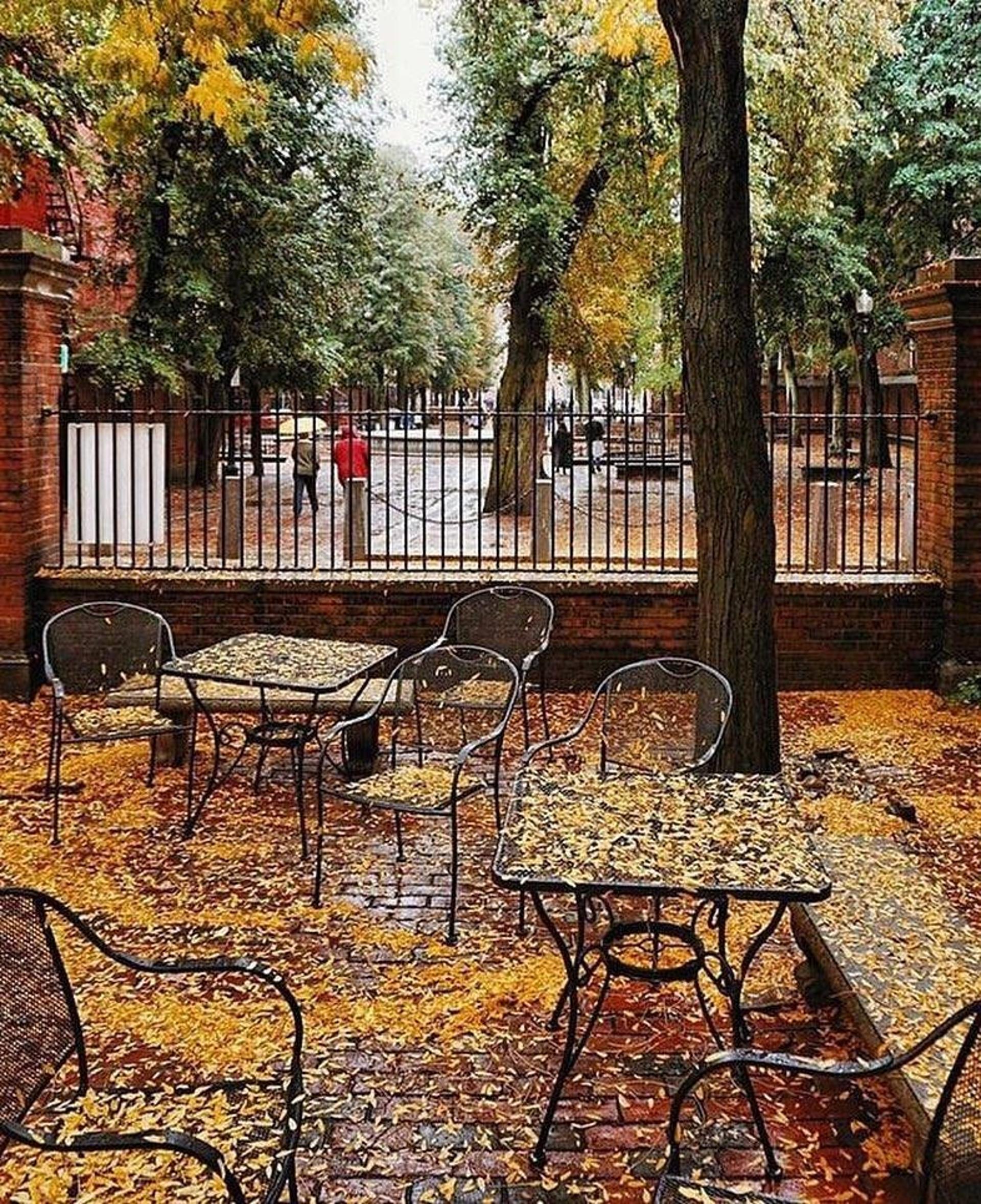 Outdoor Space