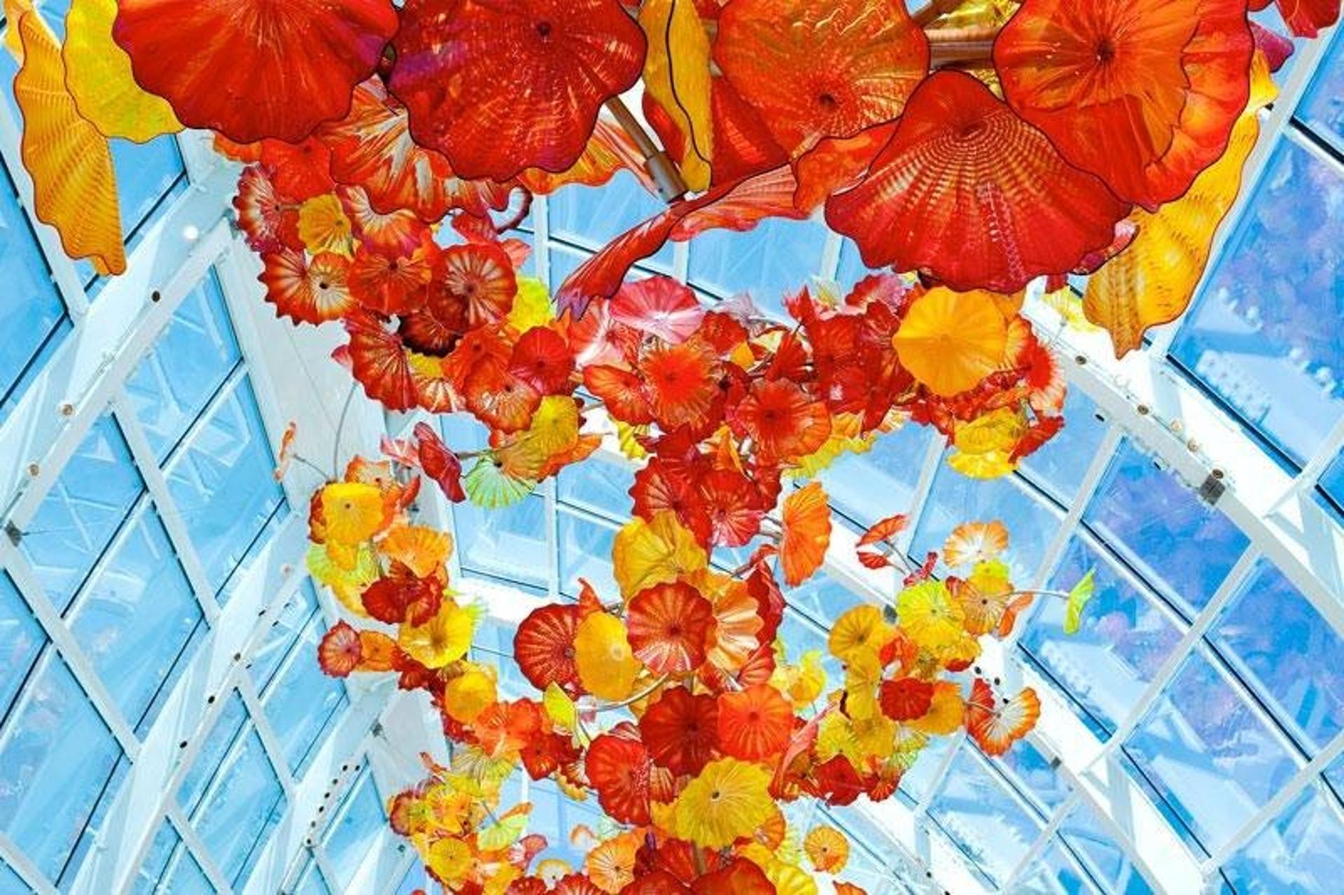 The Glasshouse