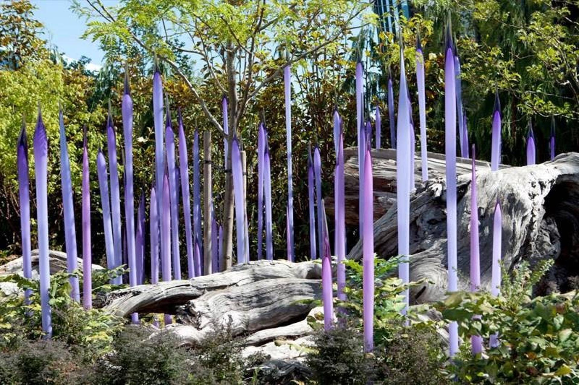 The Garden