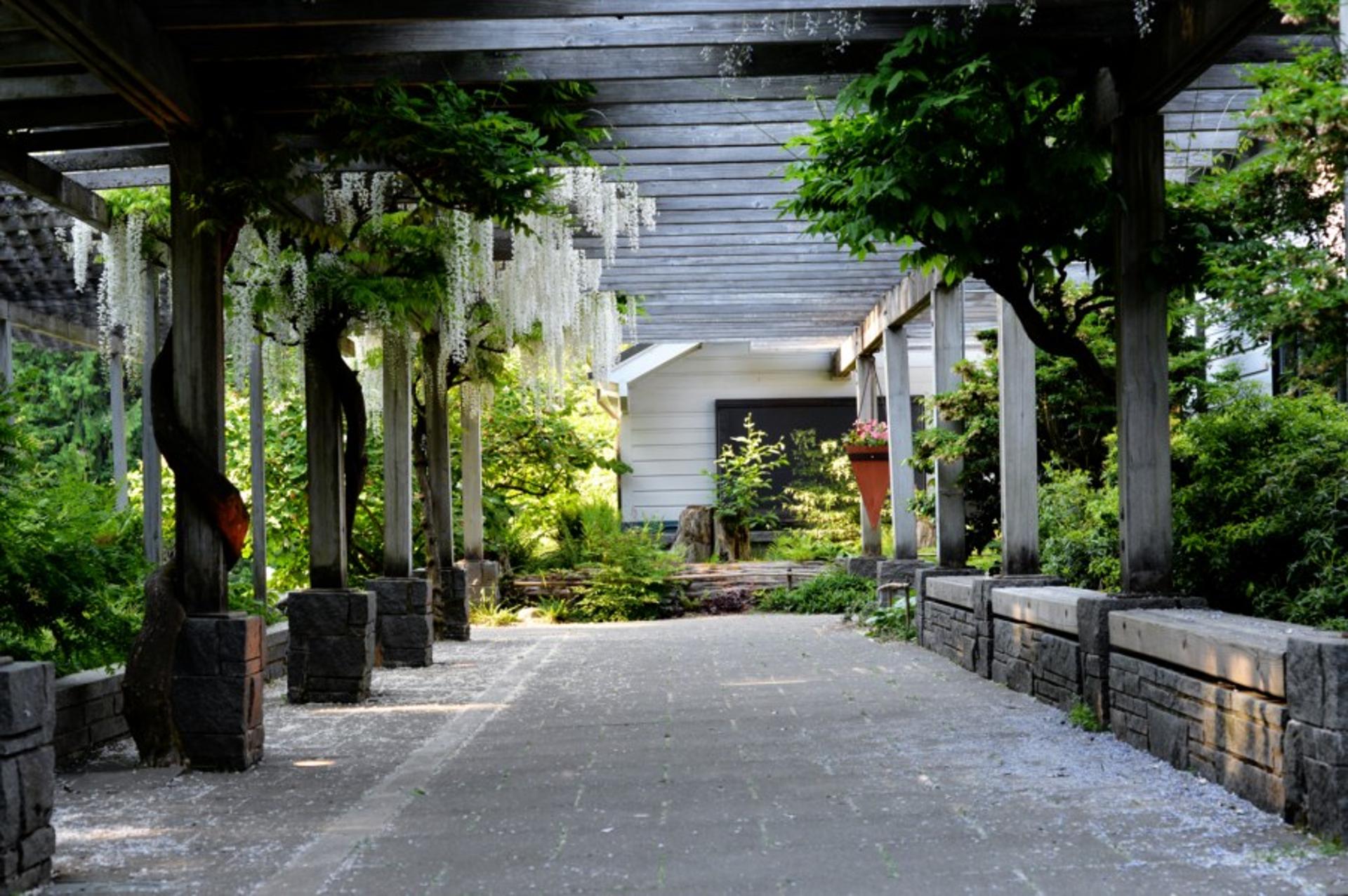 West Terrace