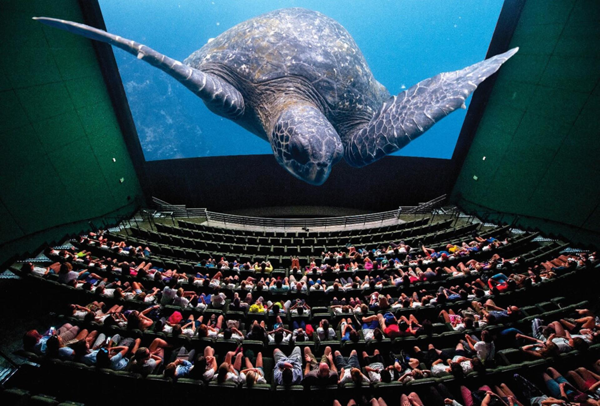 Fernbank Exhibitions and Giant Screen Theater