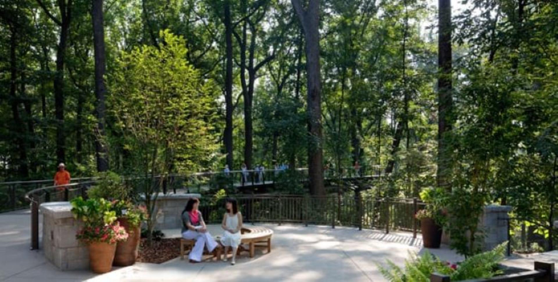 Sourwood Terrace