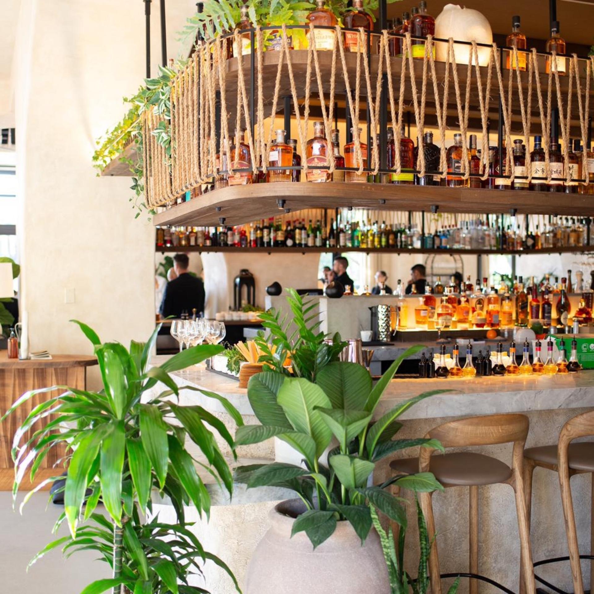 Raw Bar