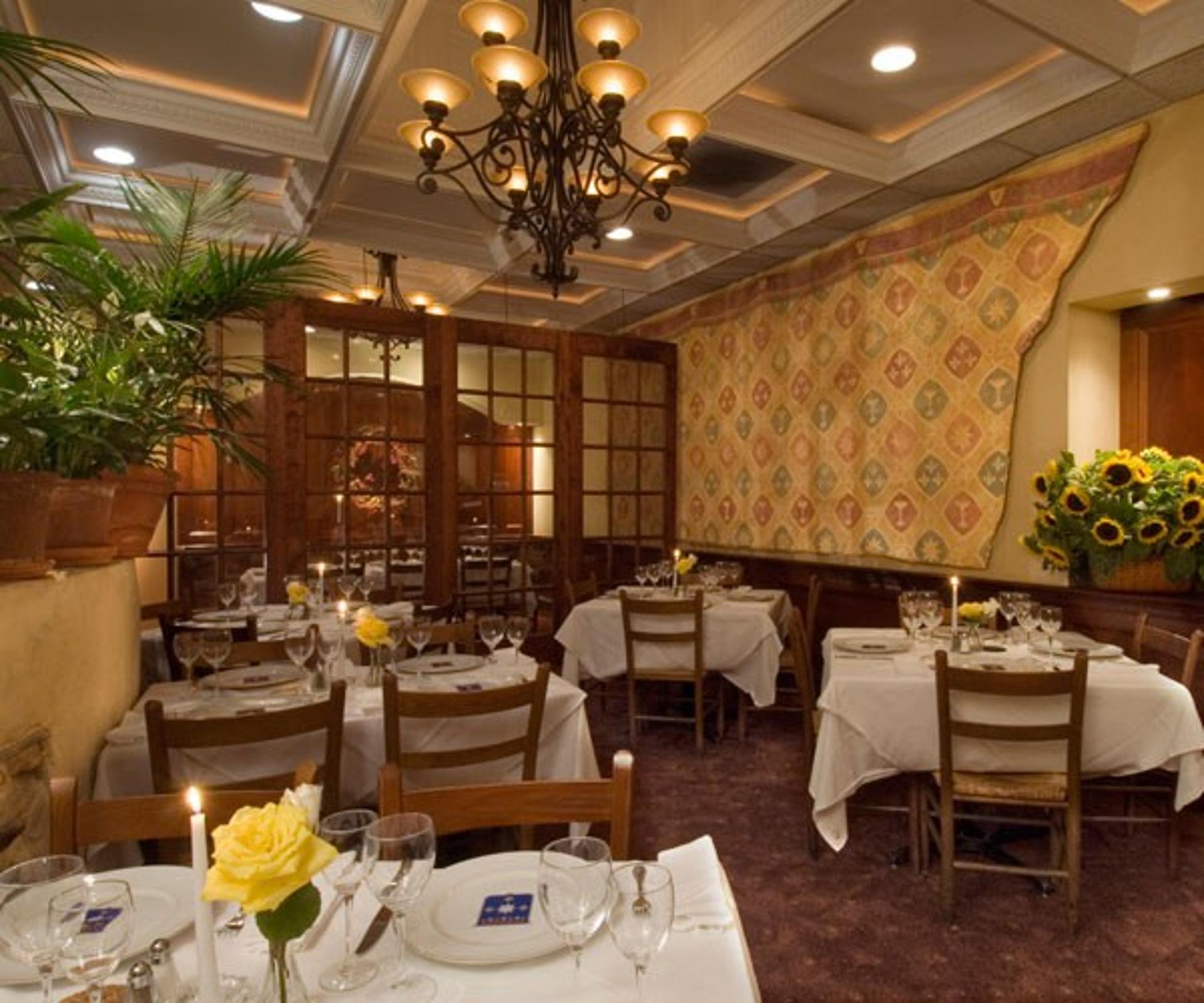 Tuscan Palm Room