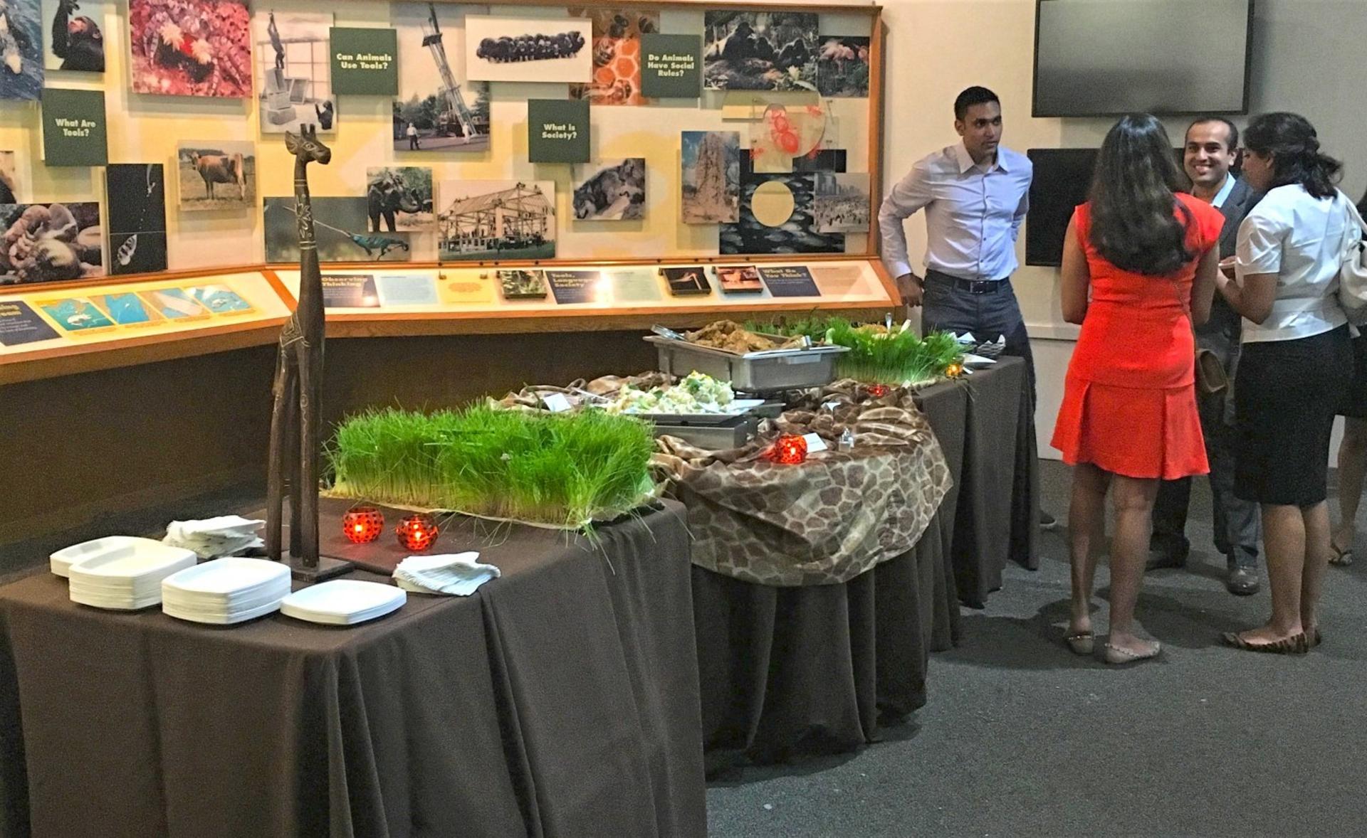 Think Tank Exhibit