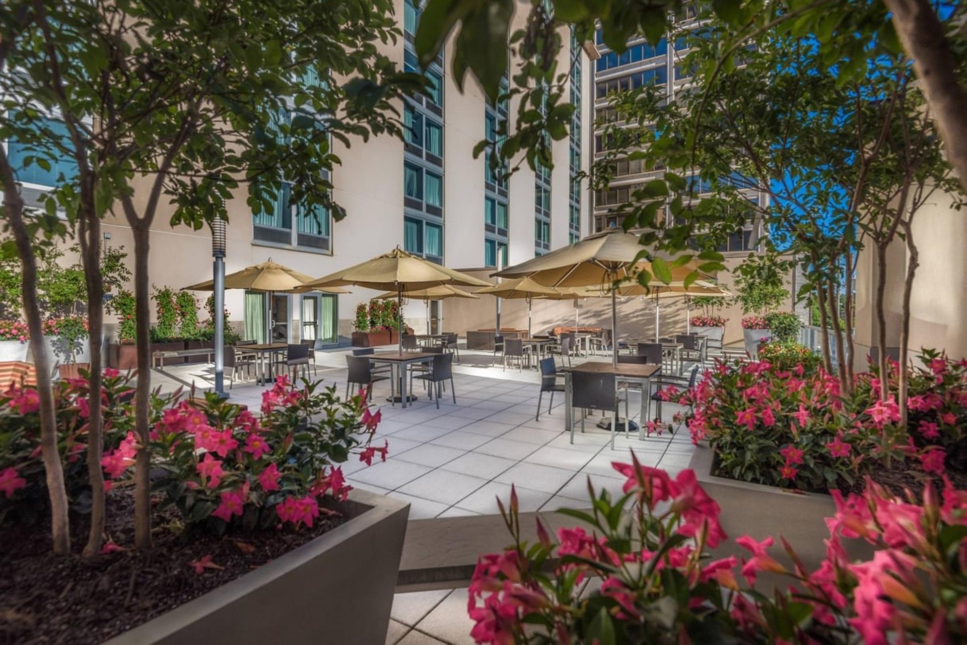 Outside Terrace