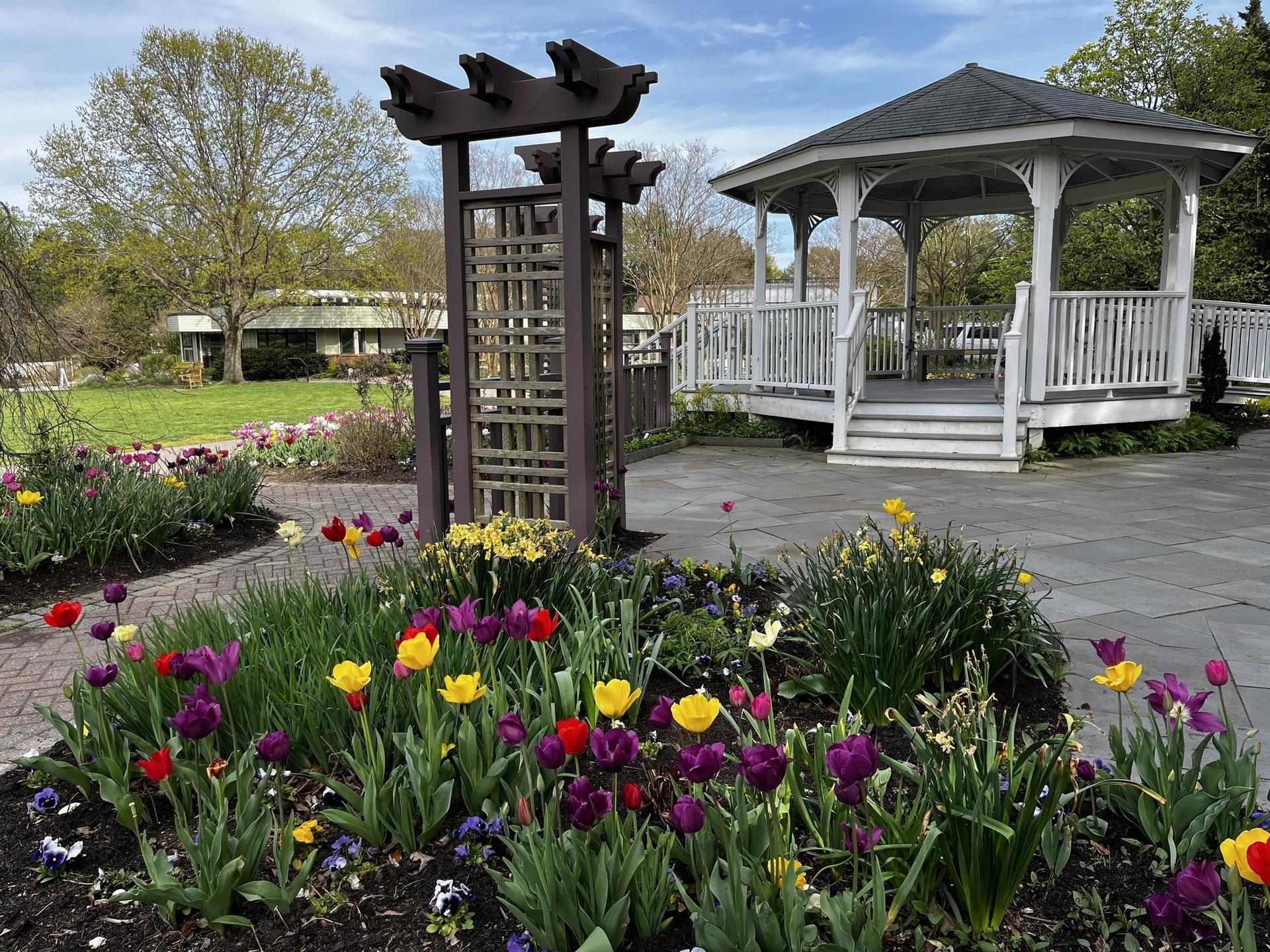 The White Gazebo