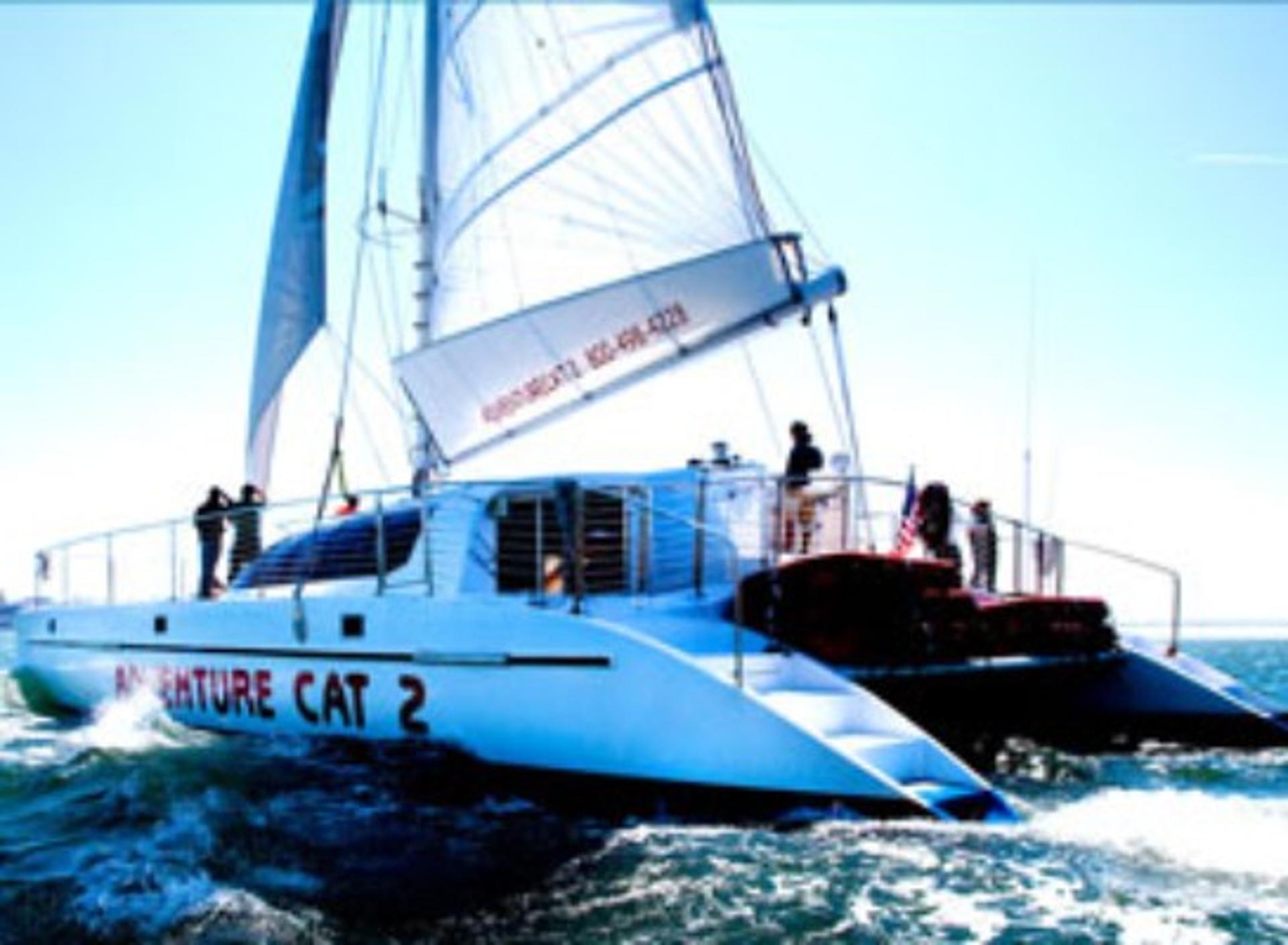 Catamarans: AC2