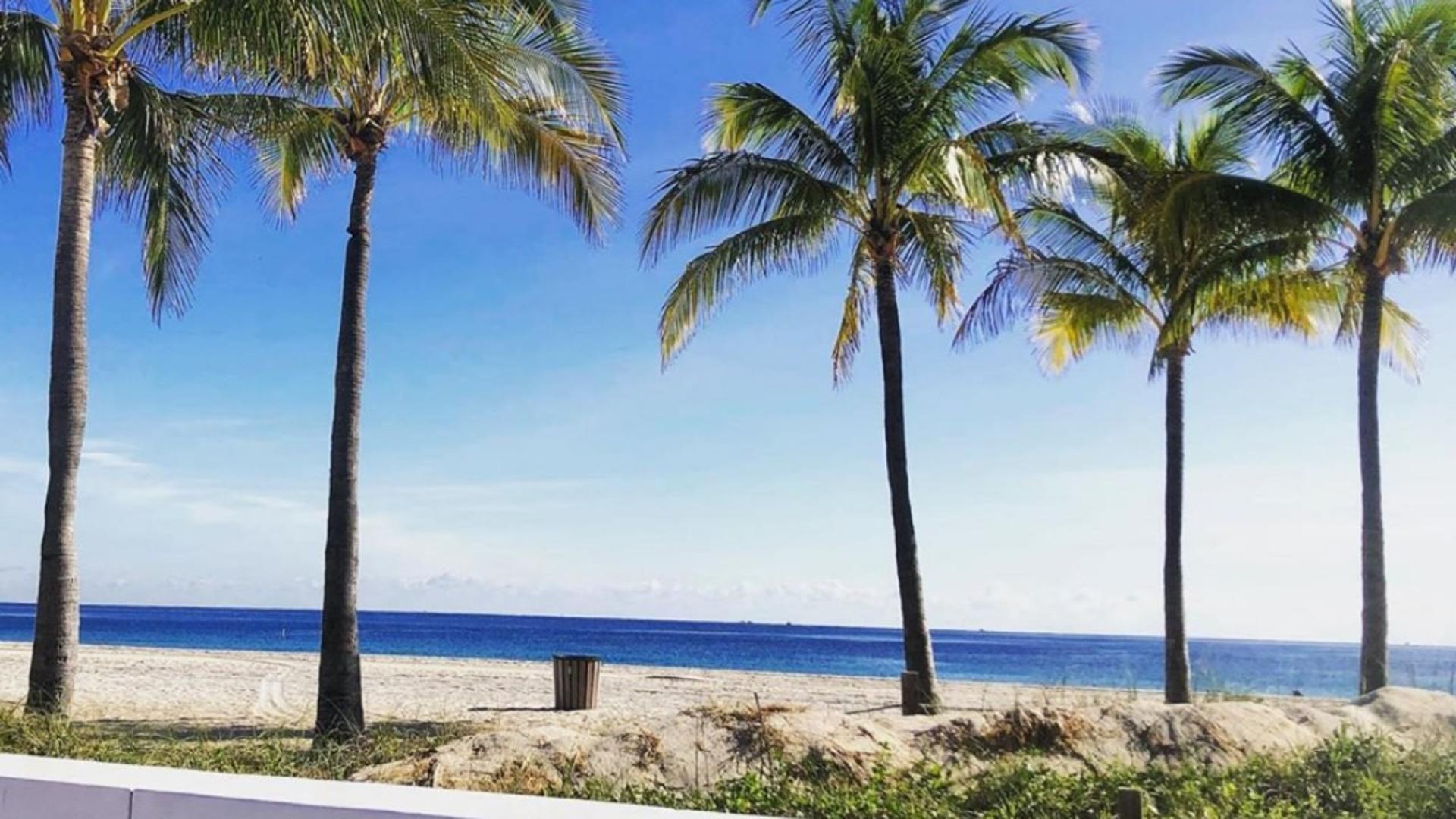 Park & Ocean
