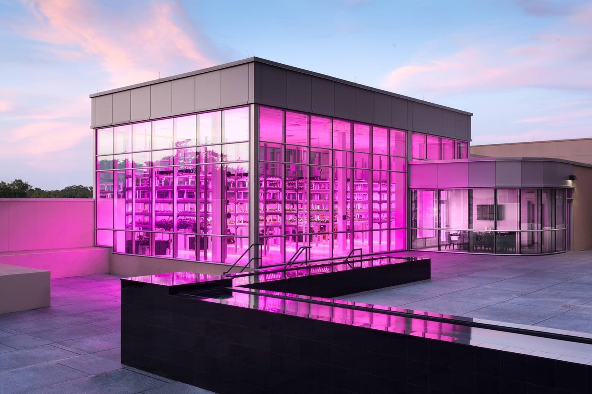 Hycube & Harvest Terrace	