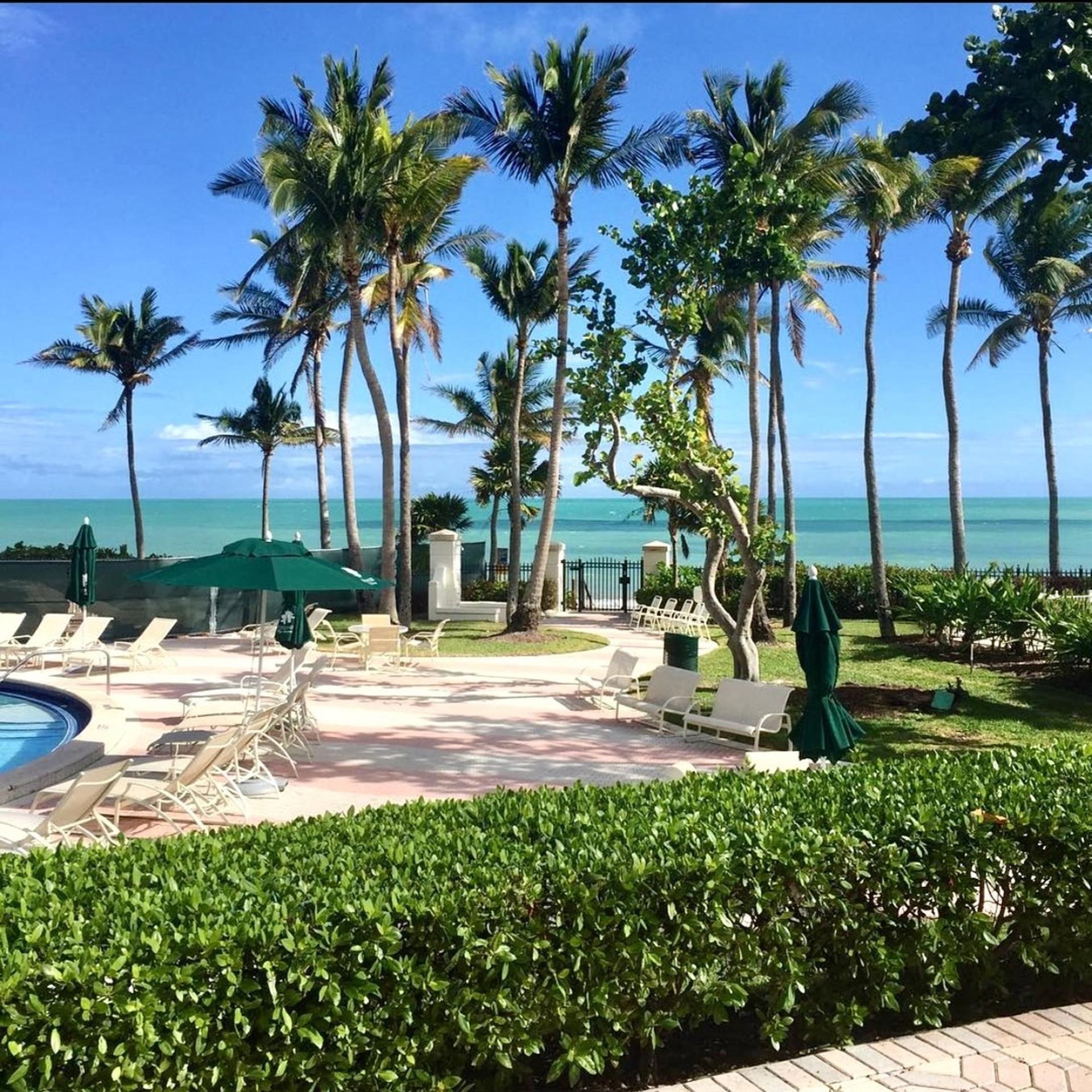 Palm Court Terrace