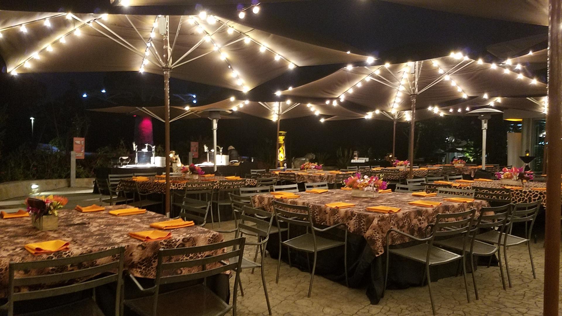 Sabertooth Grill at Elephant Odyssey