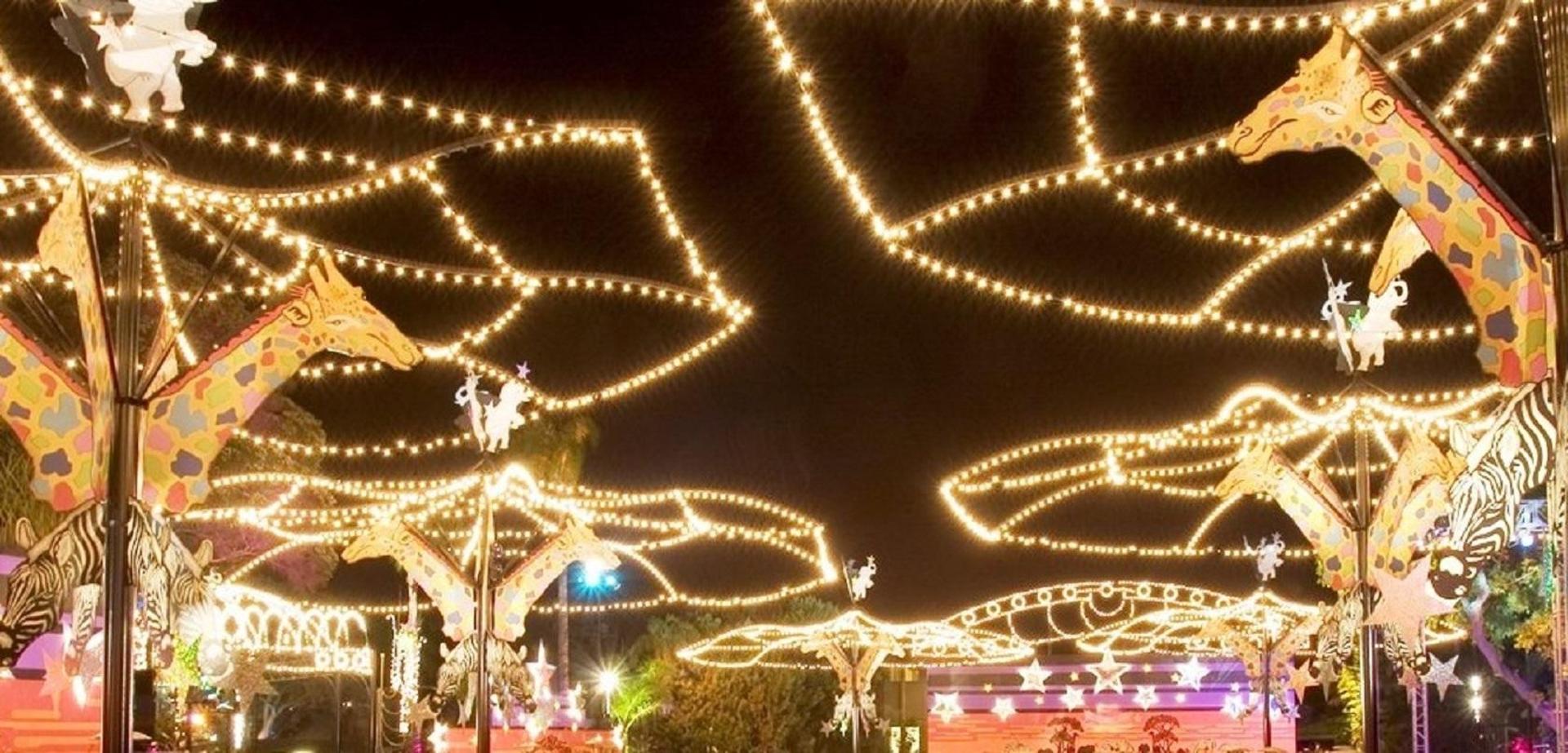 Zoofari Party Area