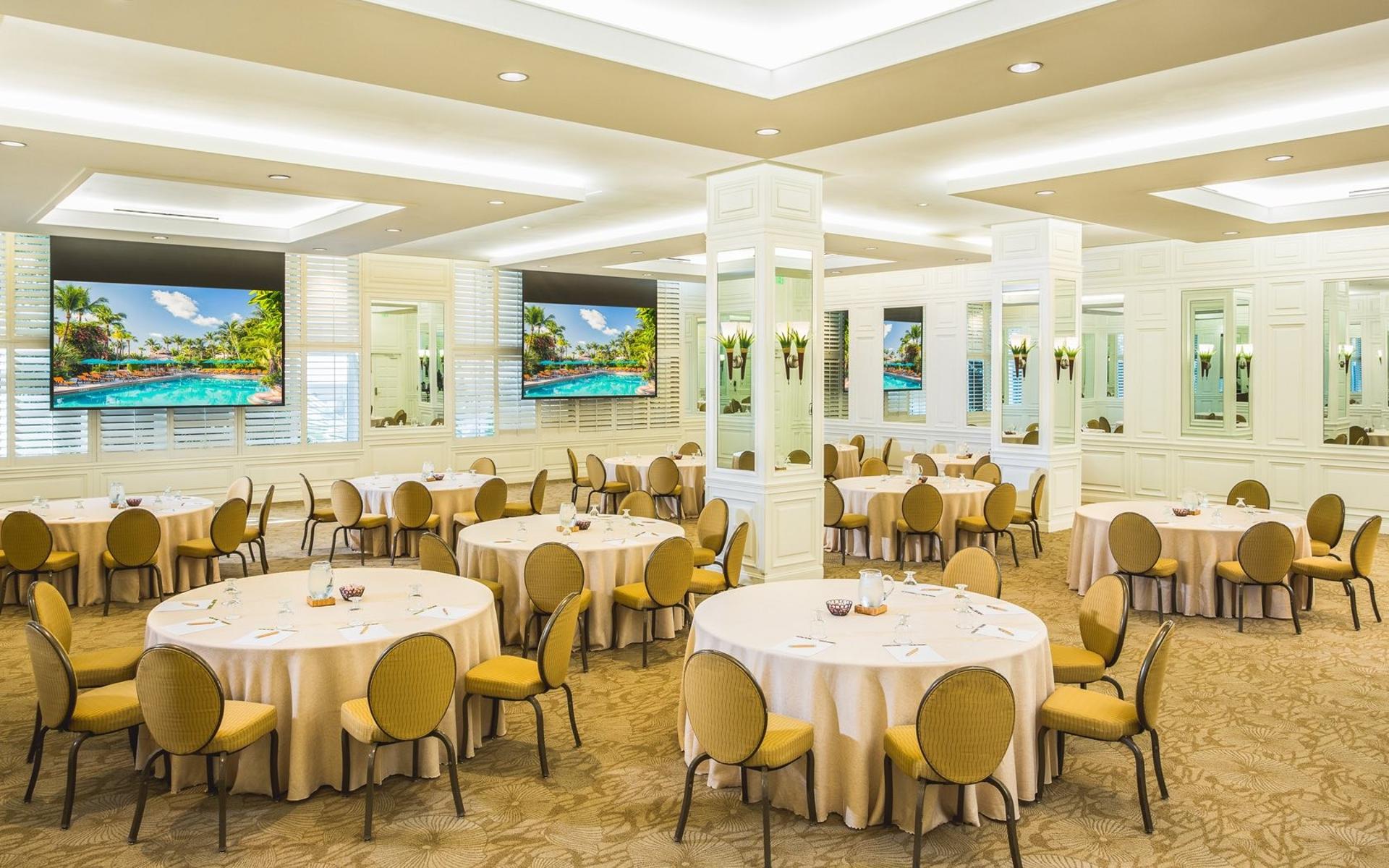 Royal Palm