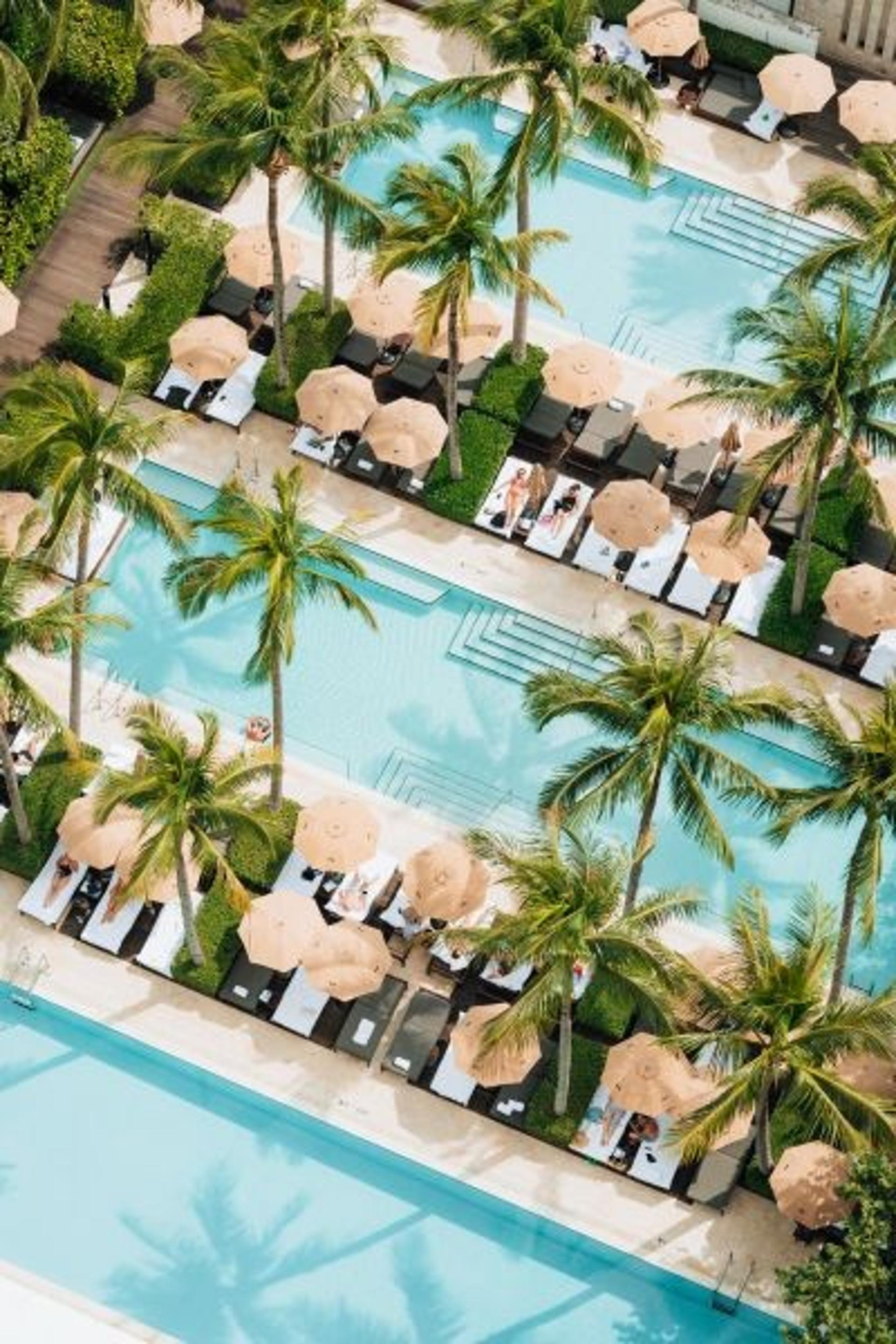 The Pool Deck