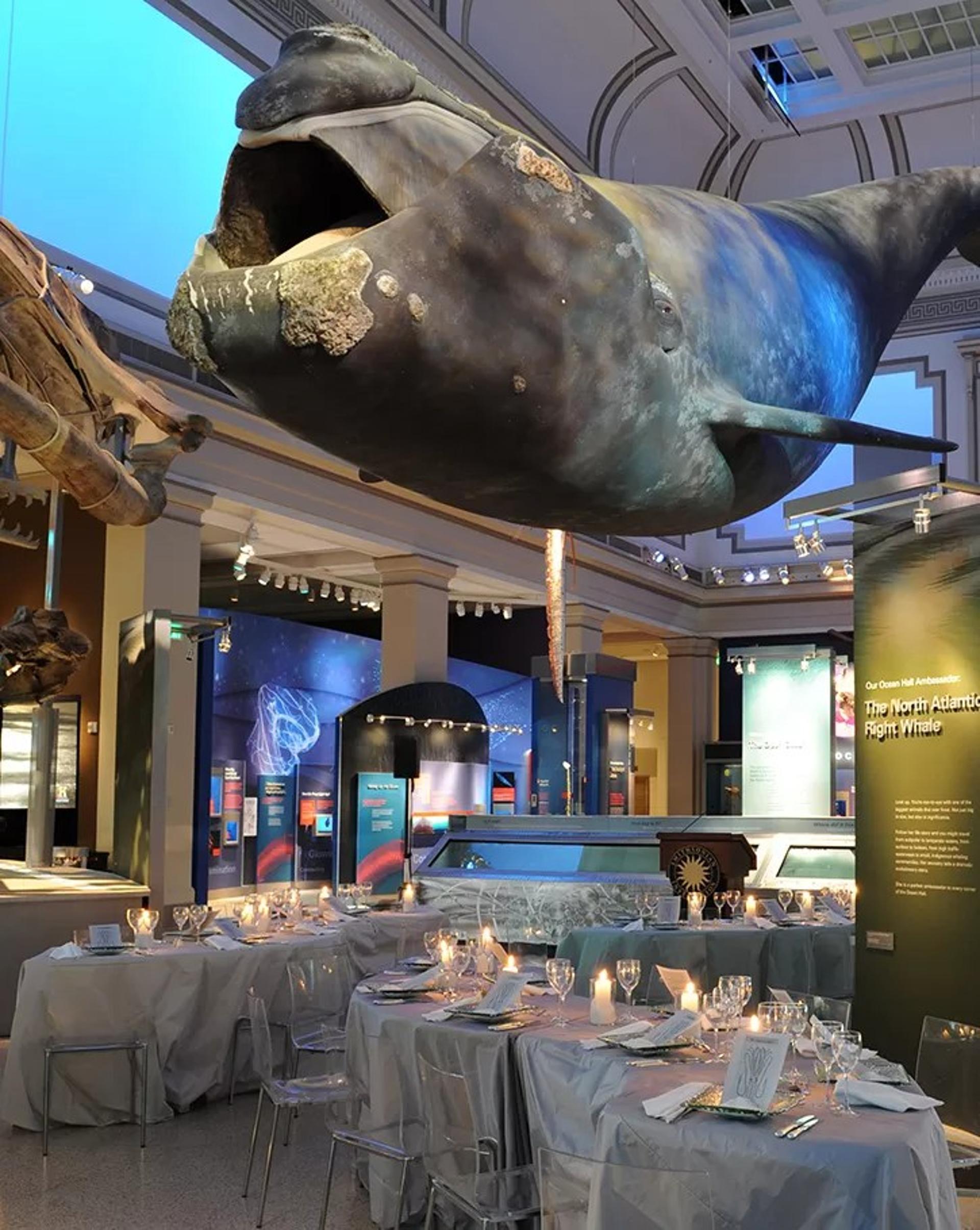 Ocean Hall