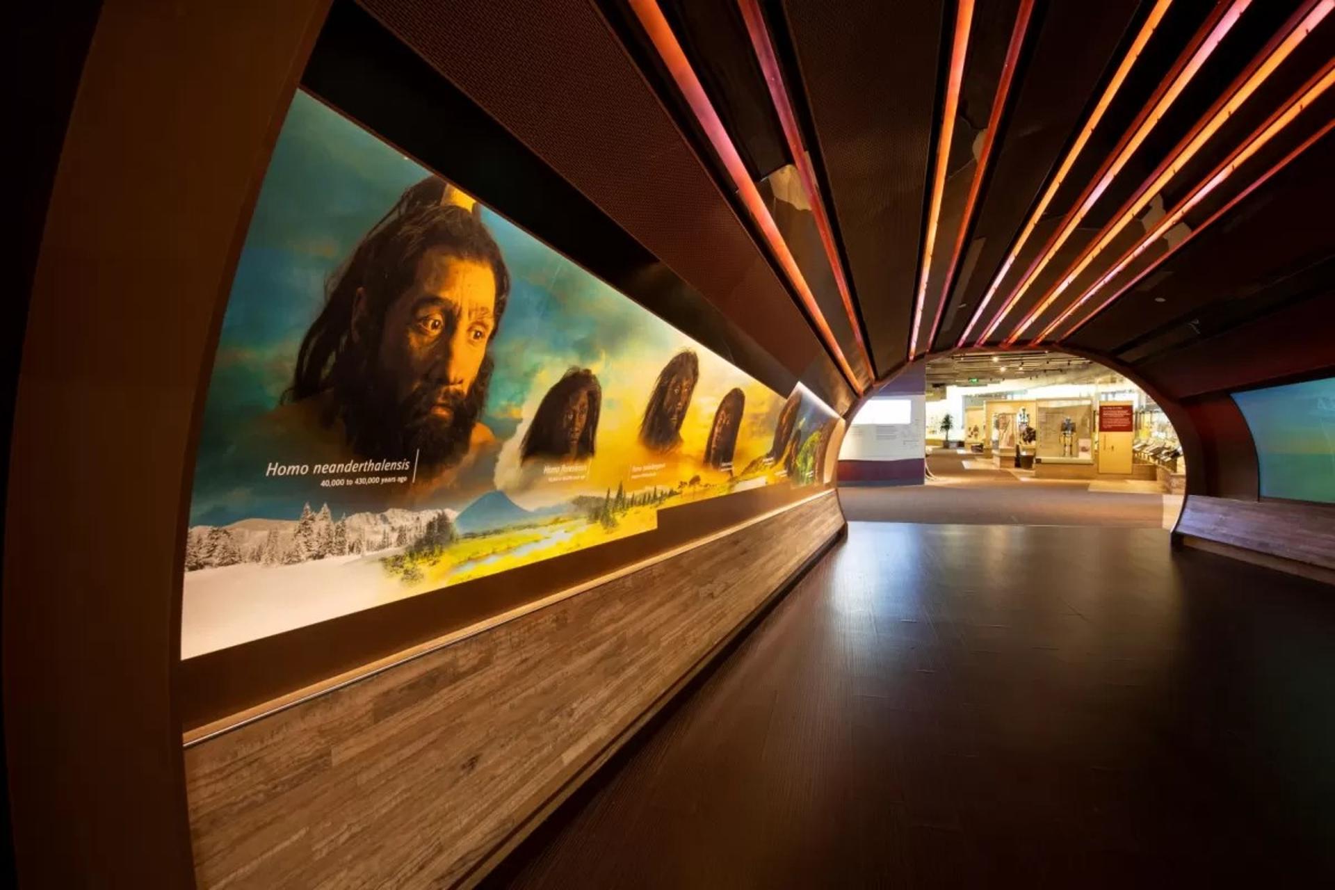 Hall of Human Origins