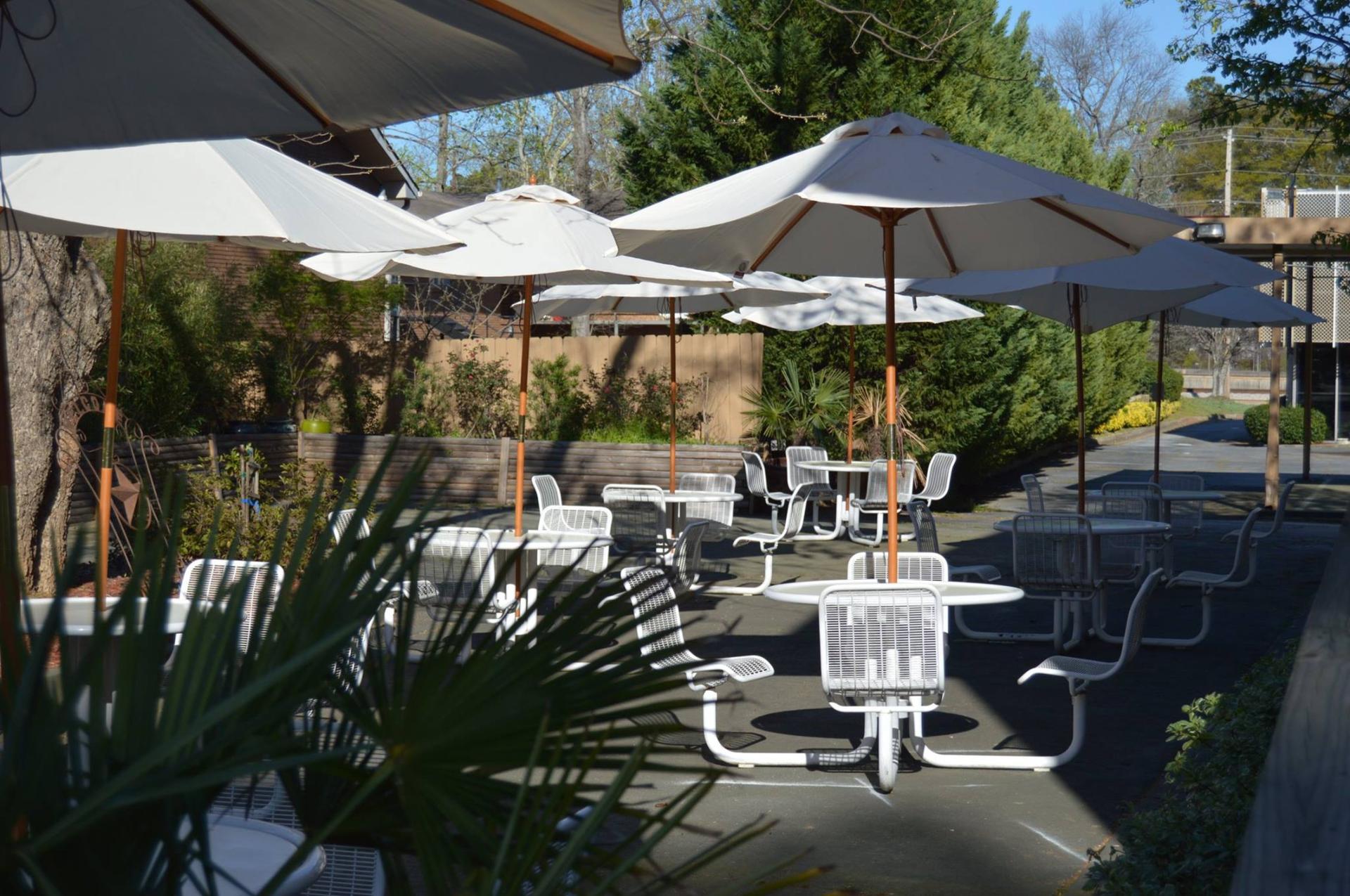Oasis Outdoor Garden