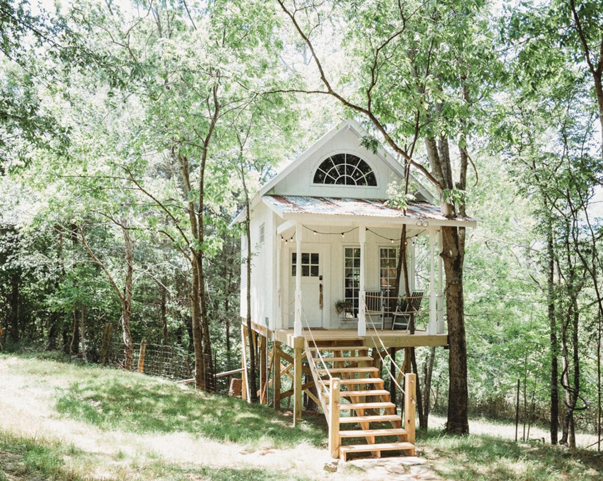 The Treehouse