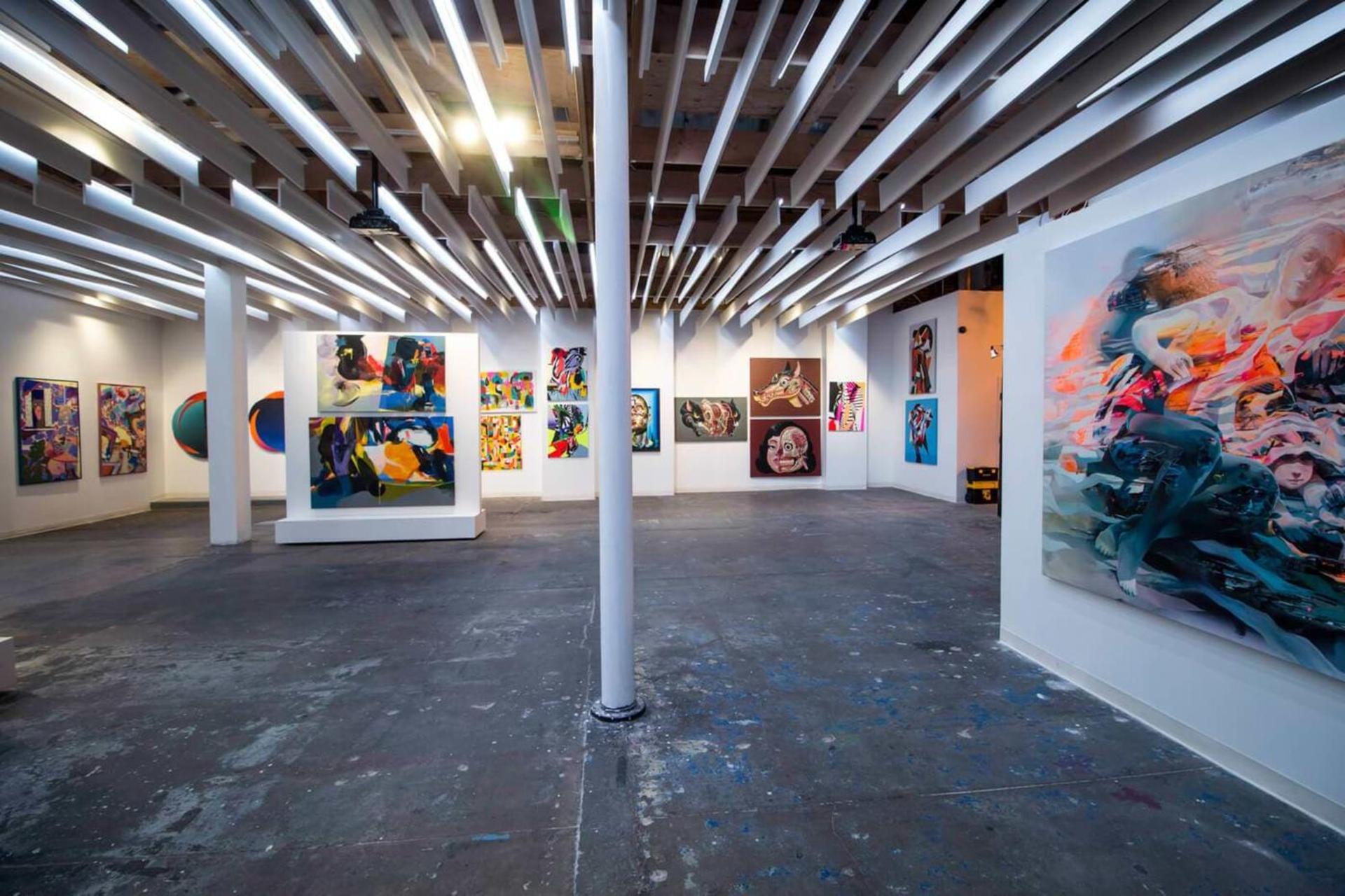 Mirus Gallery