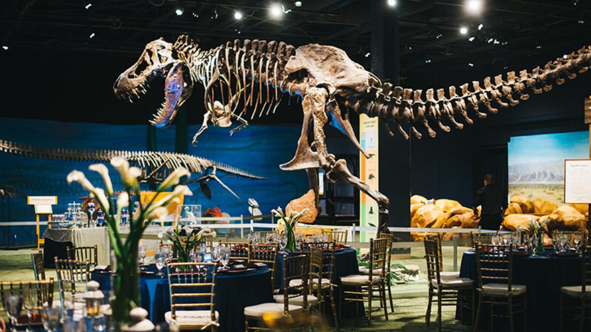 DinoDigs