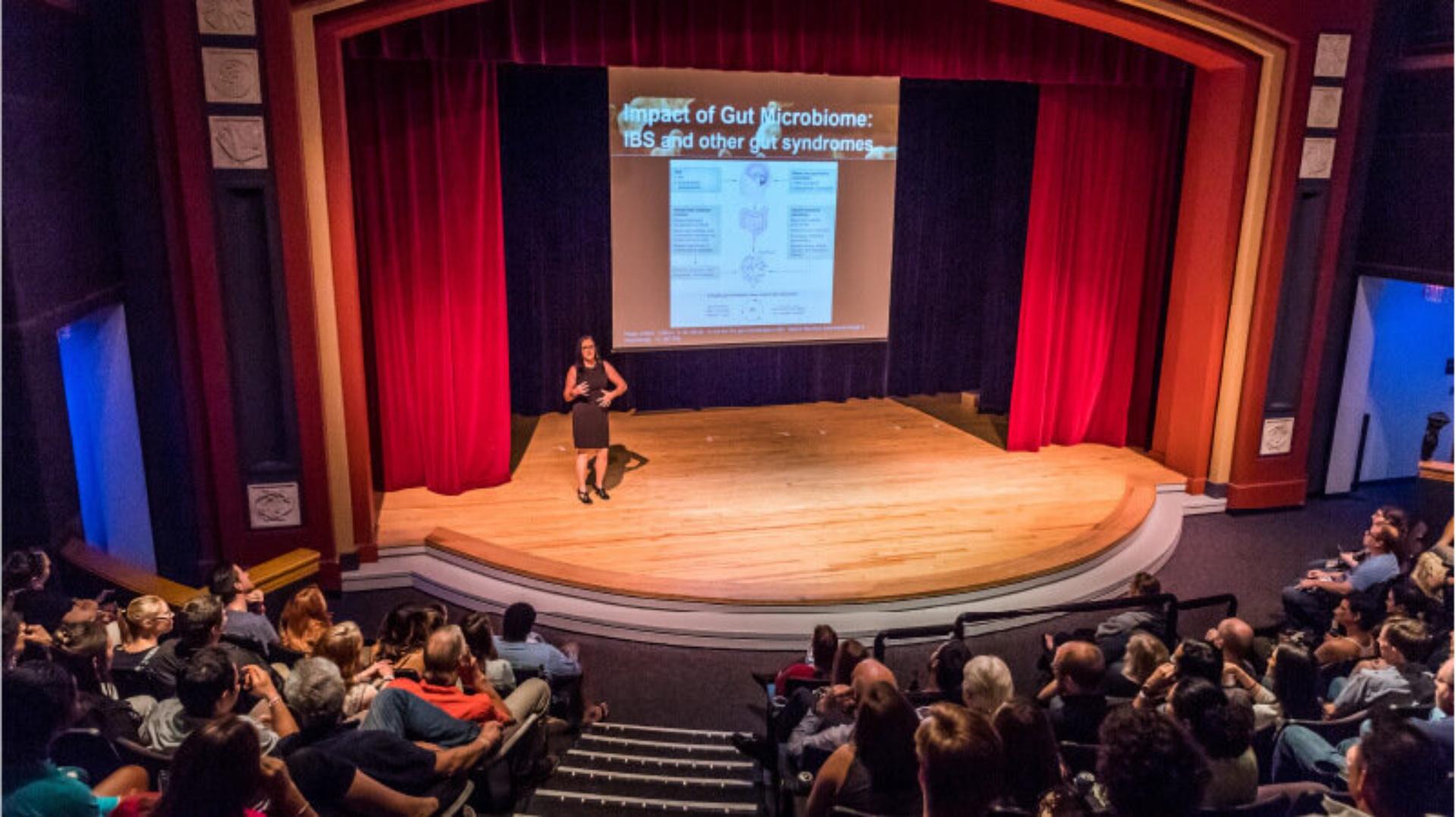 Digital Adventure Theater