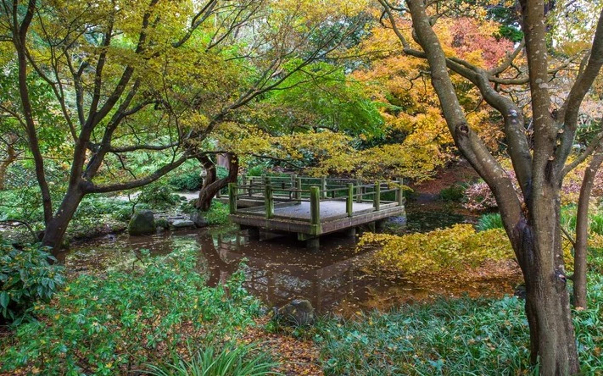 Moon Viewing Garden