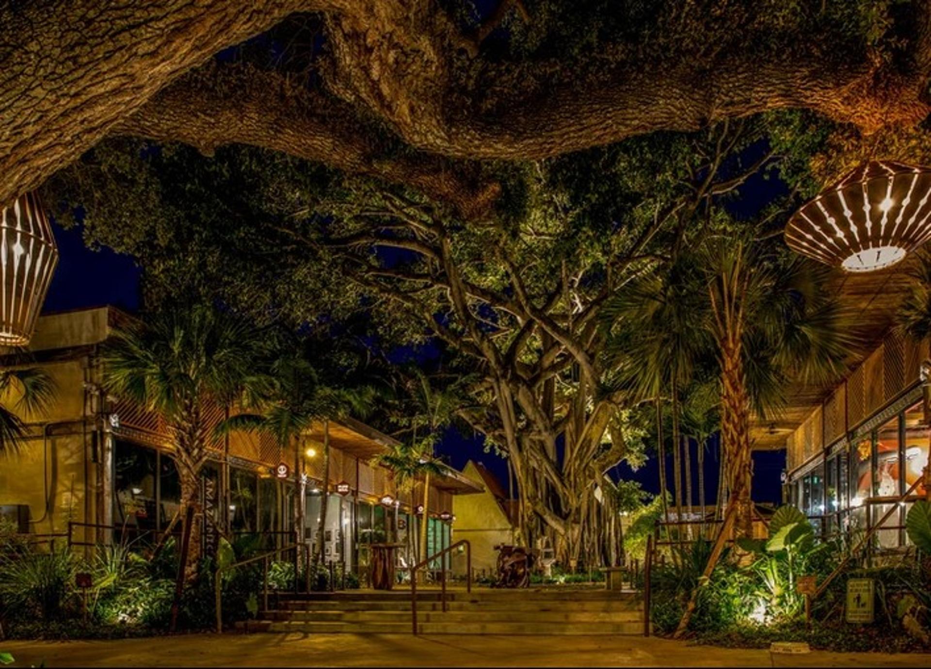 Palapa