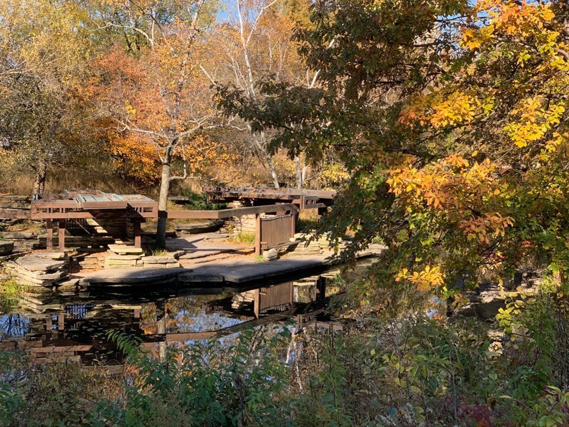 Alfred Caldwell Lily Pool