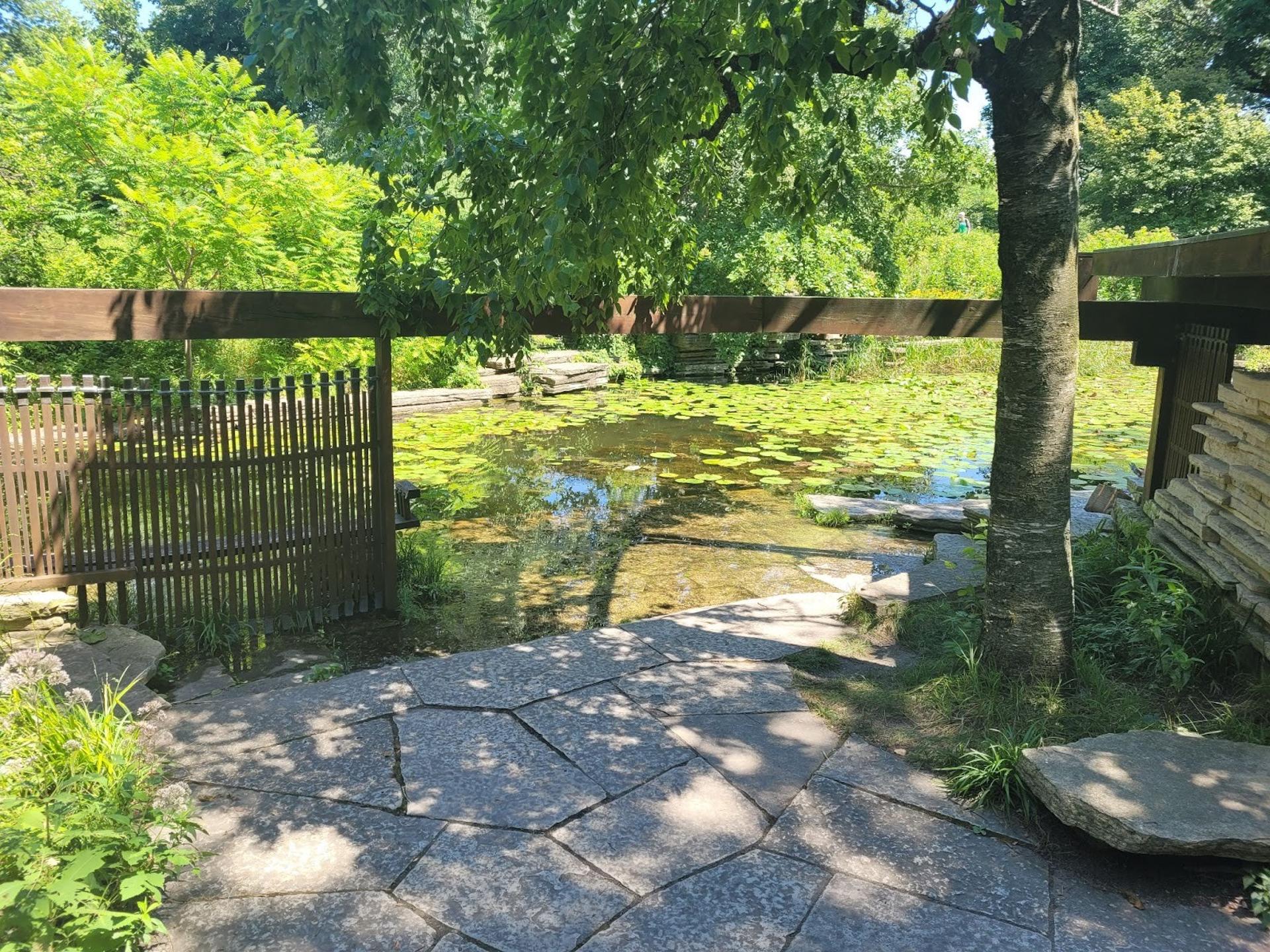 Lily Pool’s Main Pavilion