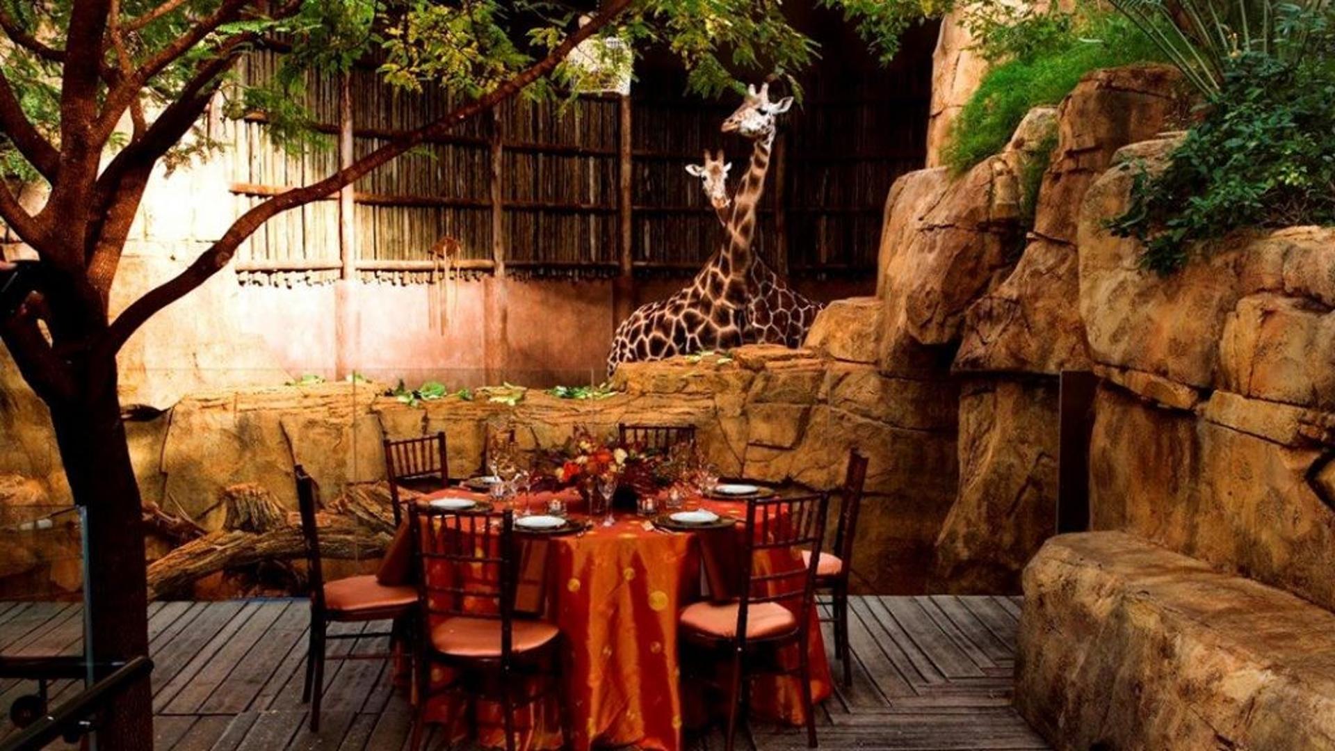 Regenstein African Journey
