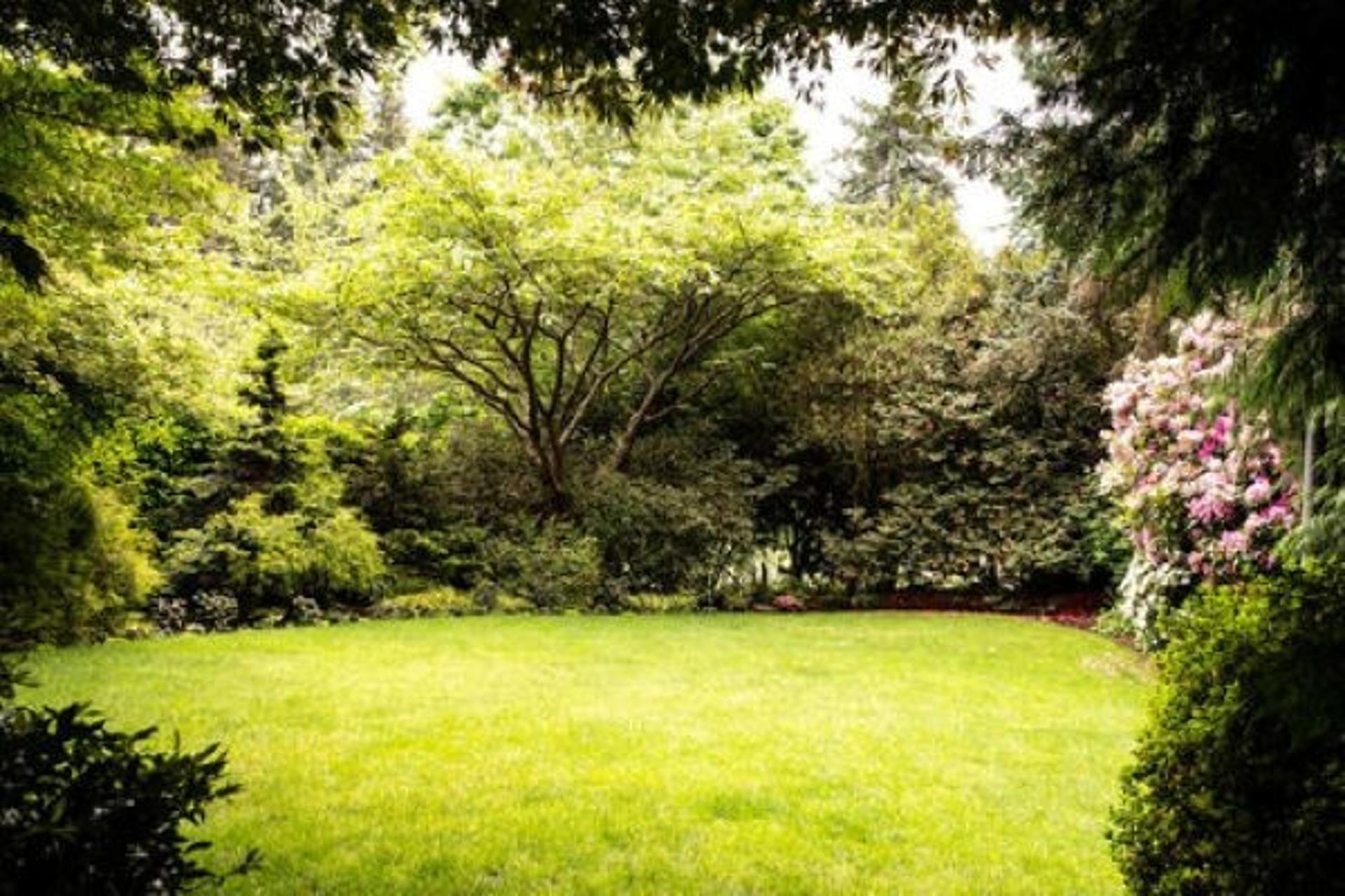 English Garden