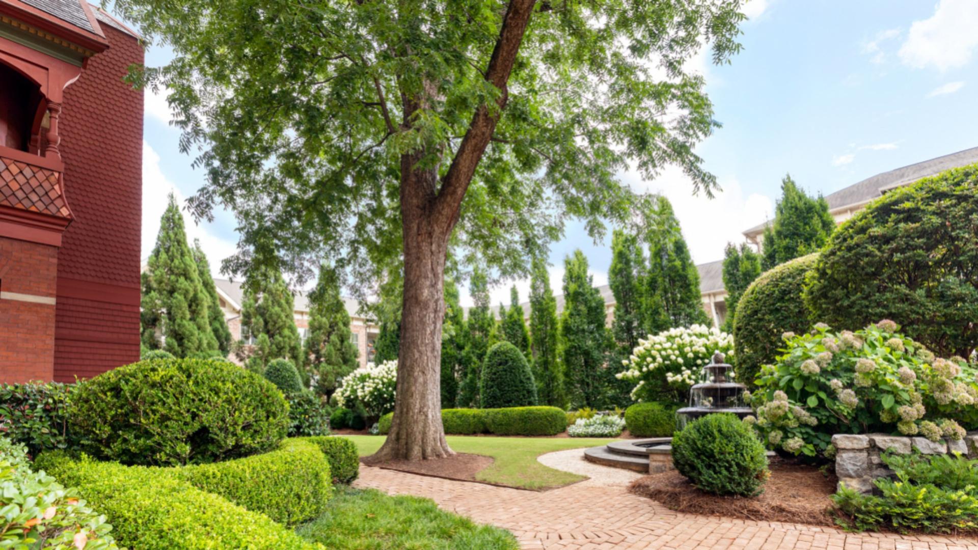 Garden 