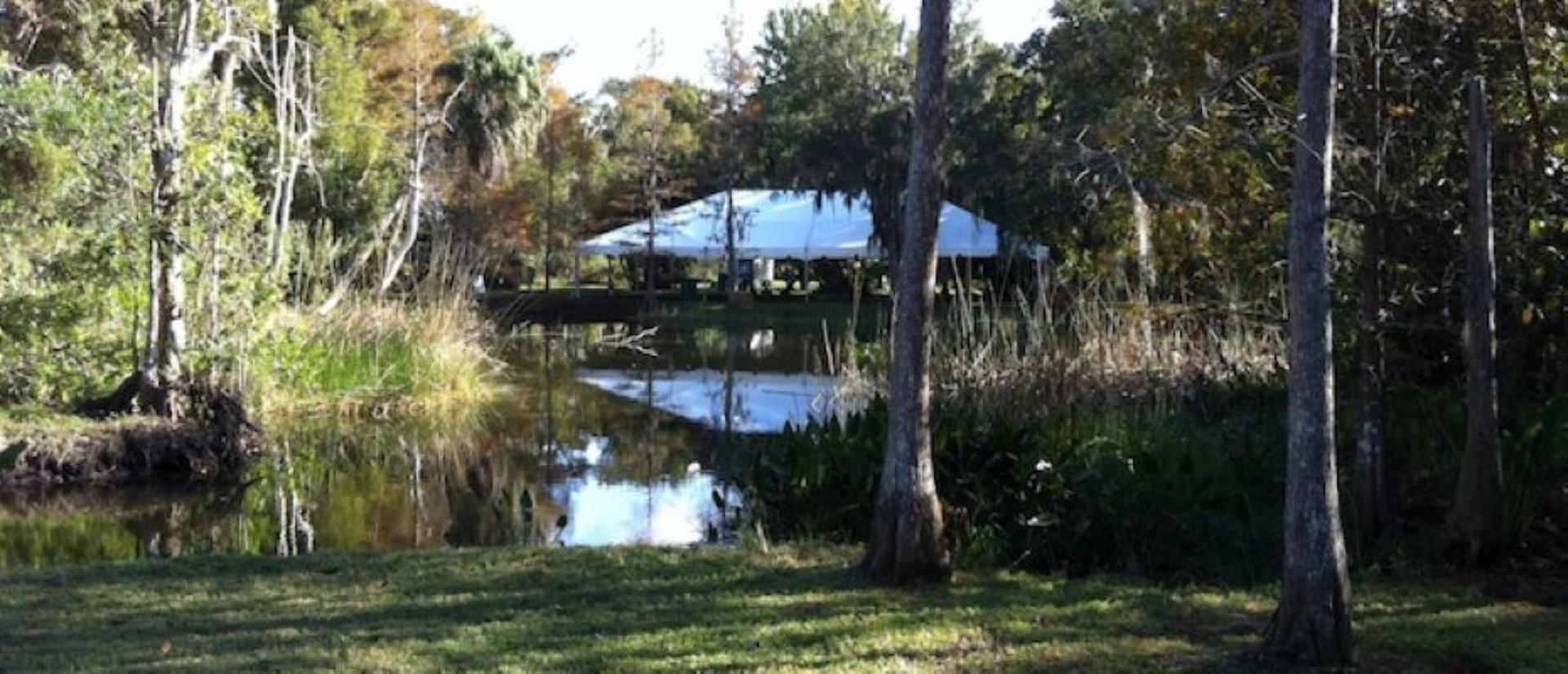 Alice’s Pond, Camellia Garden And Under The Pines