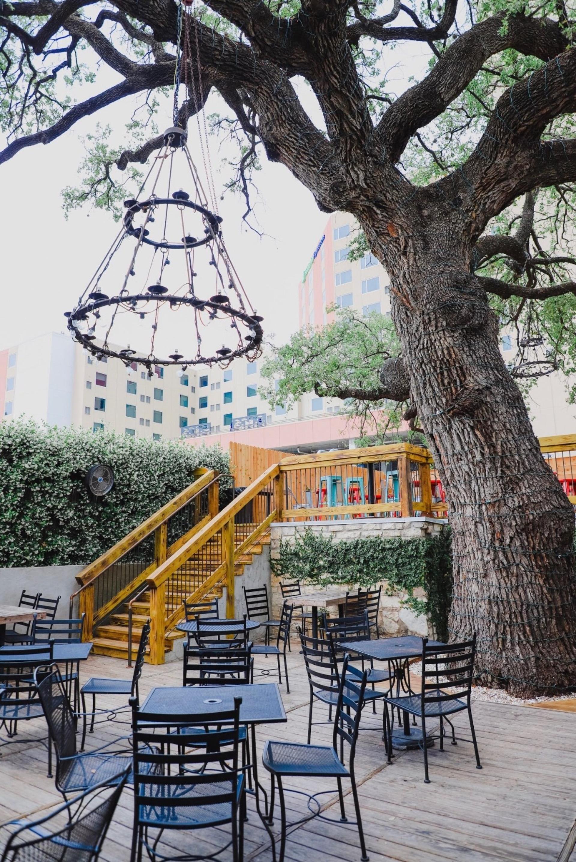 Oak Tree Patio