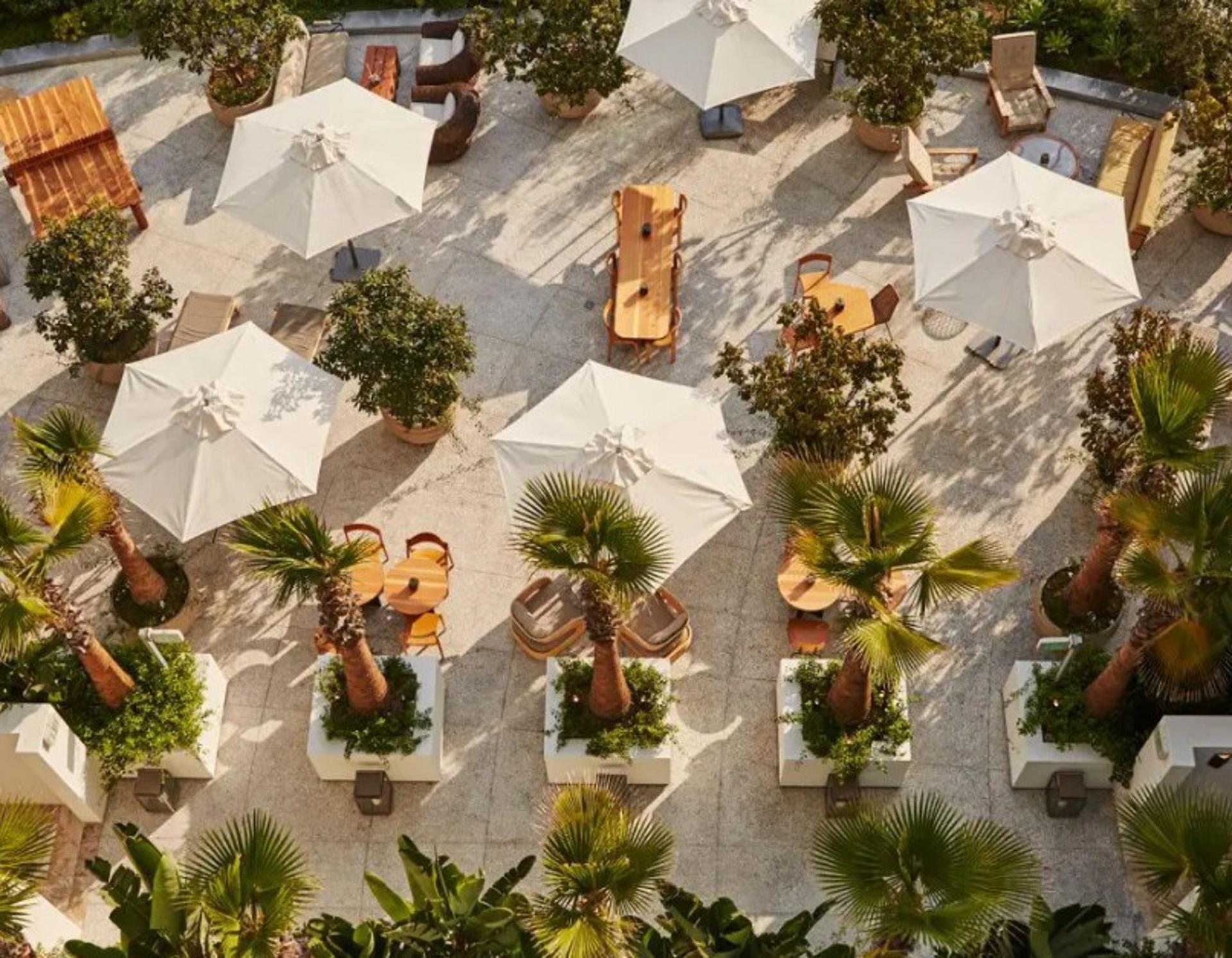 Olea Terrace