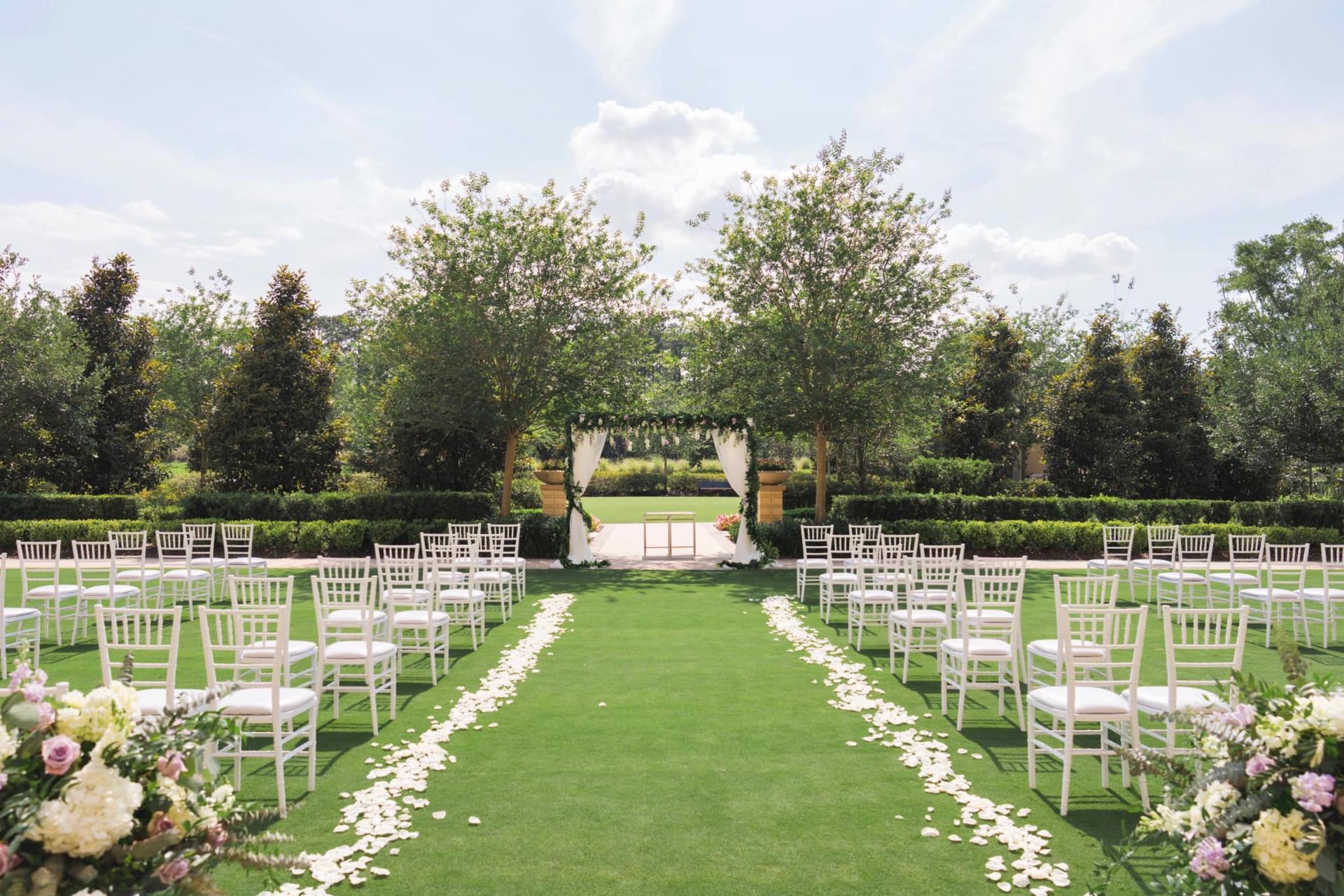 Lady Palm Lawn